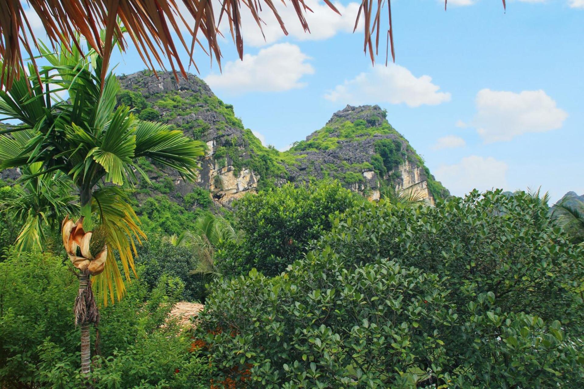 An's Eco Mountain Homestay