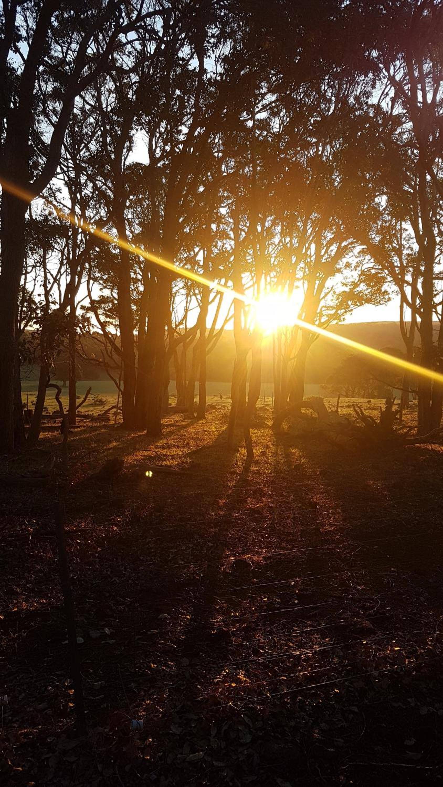 Bussells Bushland Cottages