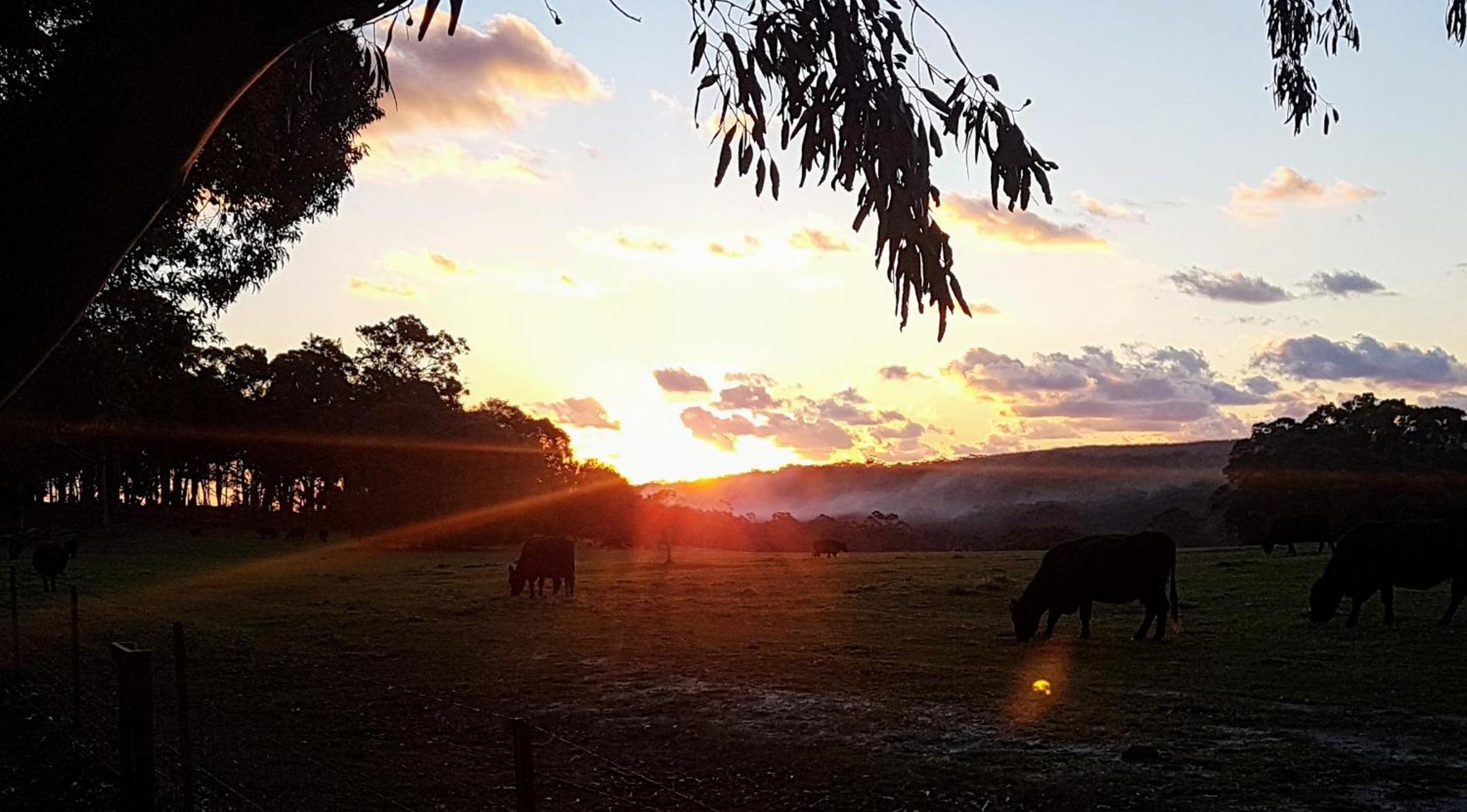 Bussells Bushland Cottages