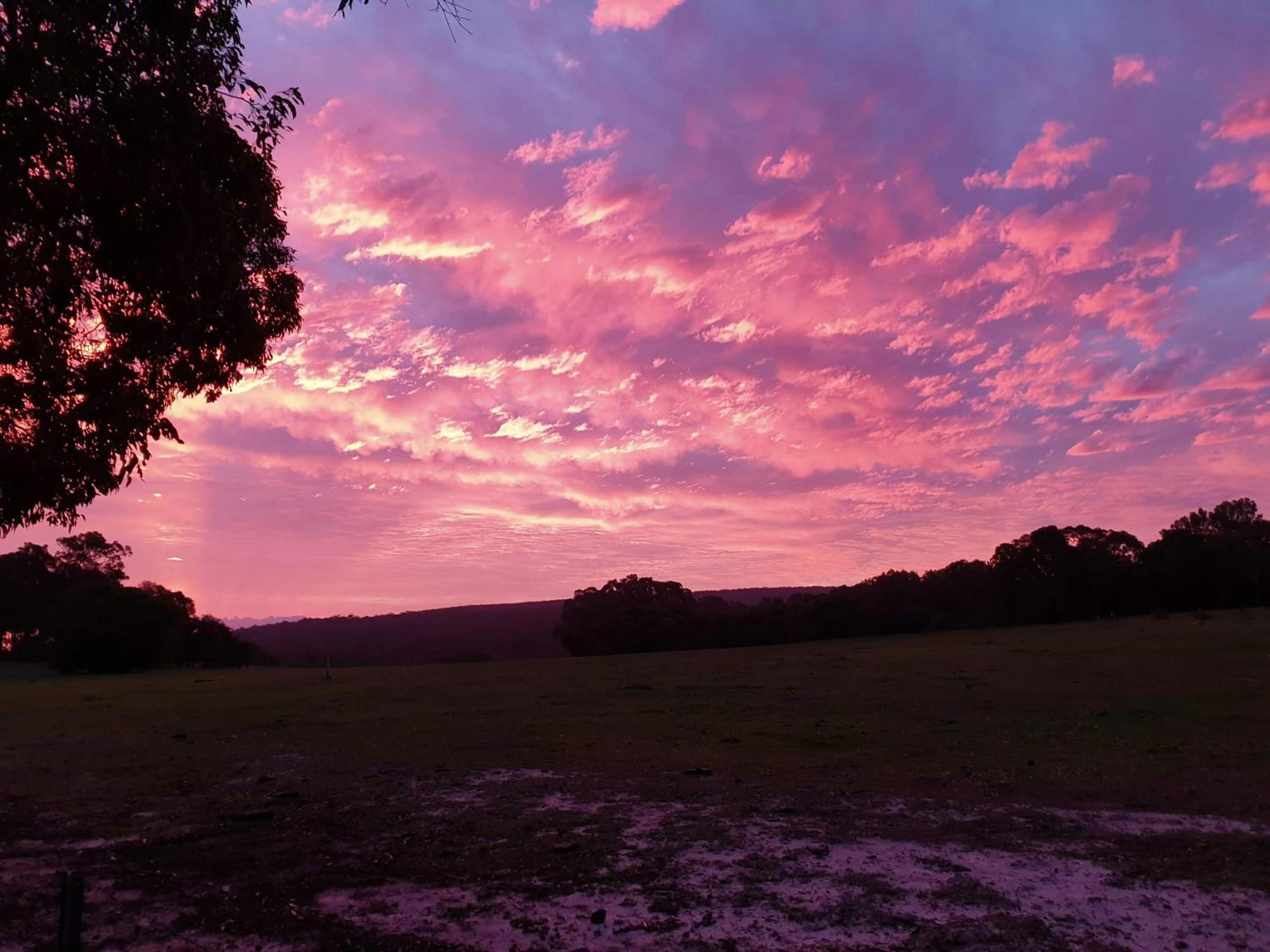 Bussells Bushland Cottages