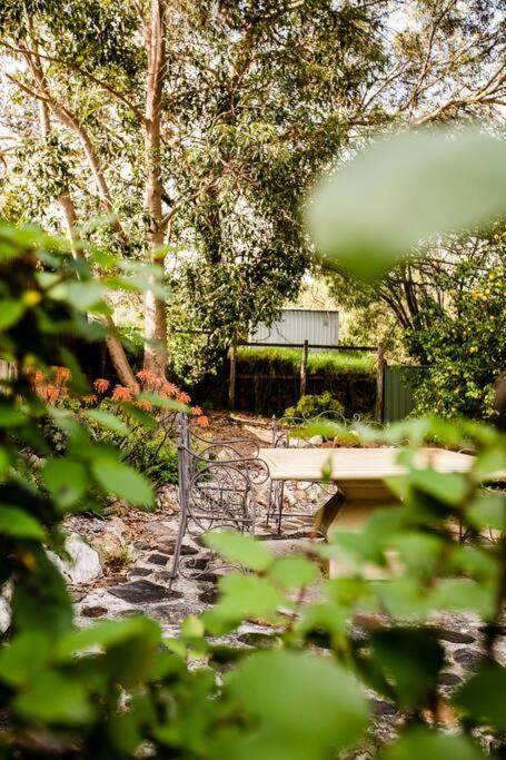 Camellia Cottage - Country Rustic Charm Close to Forest and Town