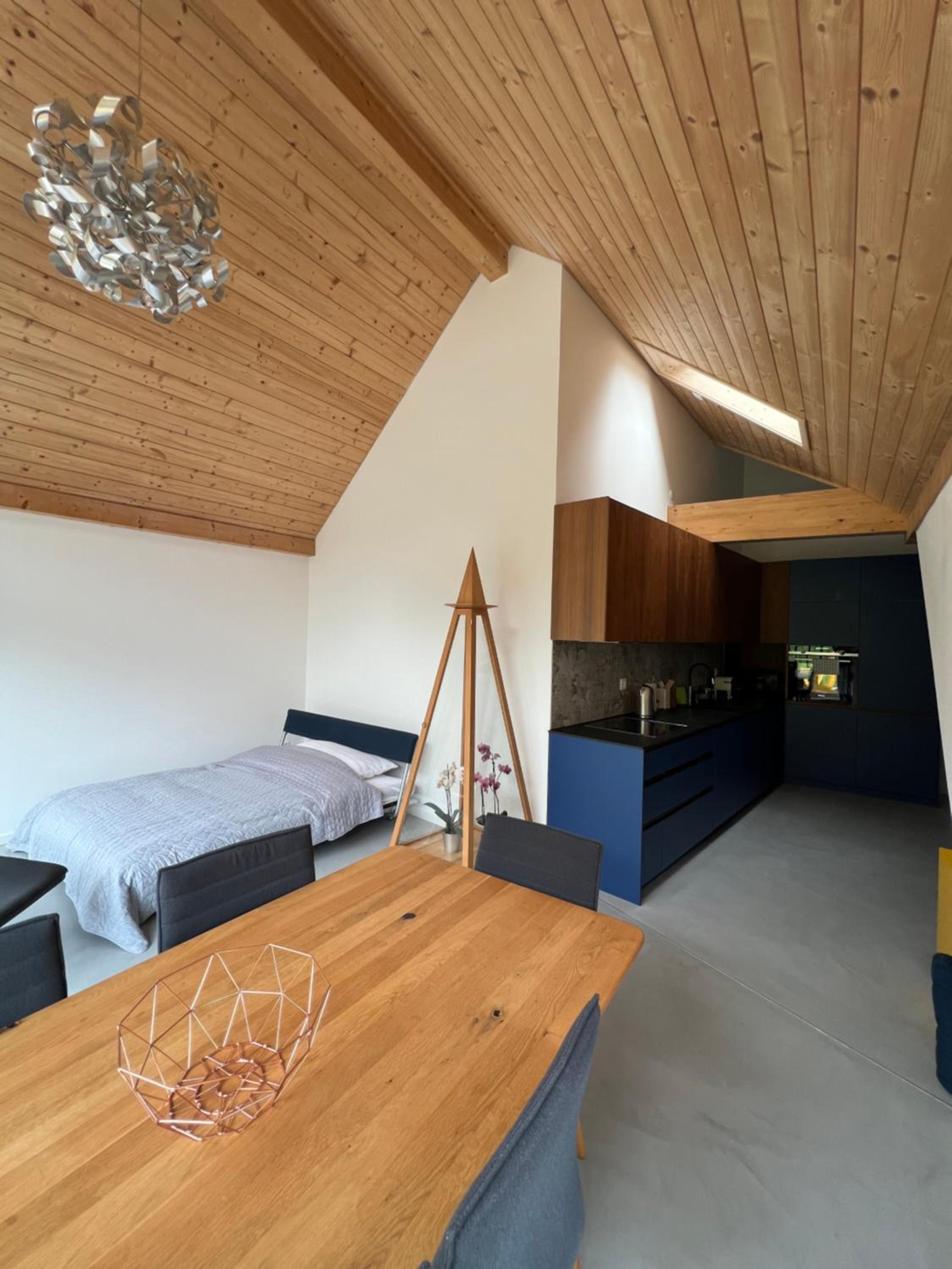 MARYS family friendly Apartments,VISIT RHINE FALLS for FREE if you stay 2 nights, SOHO 95m2 2-Bedrooms 2nd floor & SOUTH BEACH 105m2 3-Bedrooms & LOFT 115m