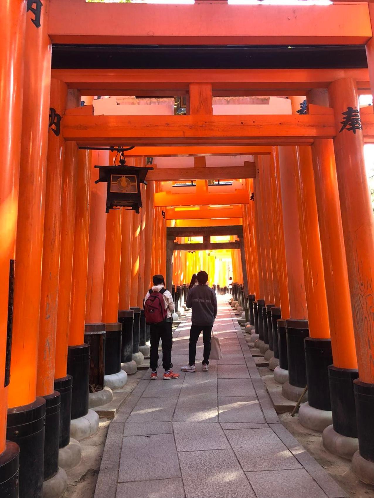 Inari-Home