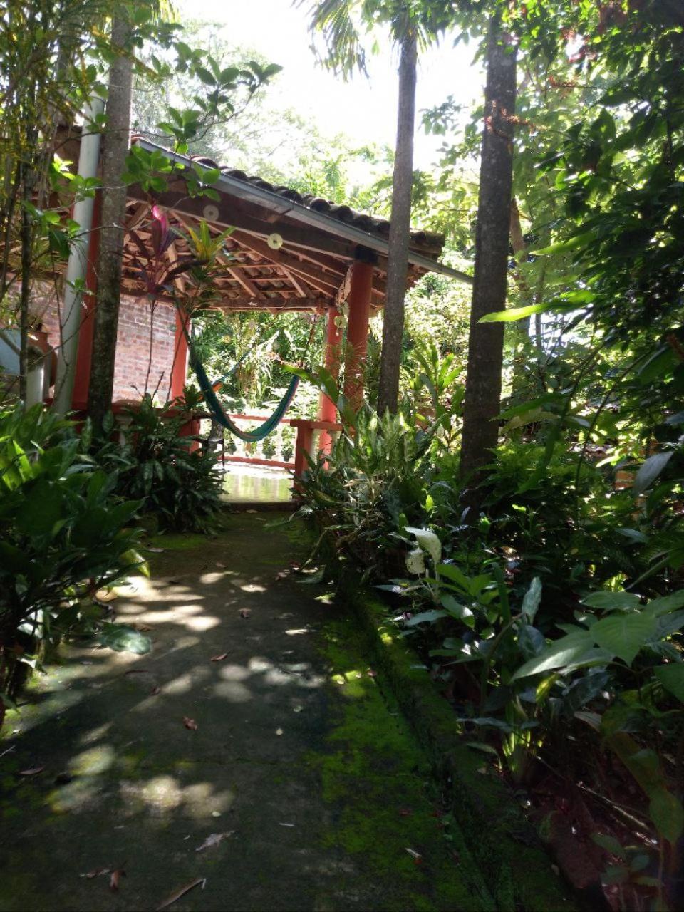 Photo 46