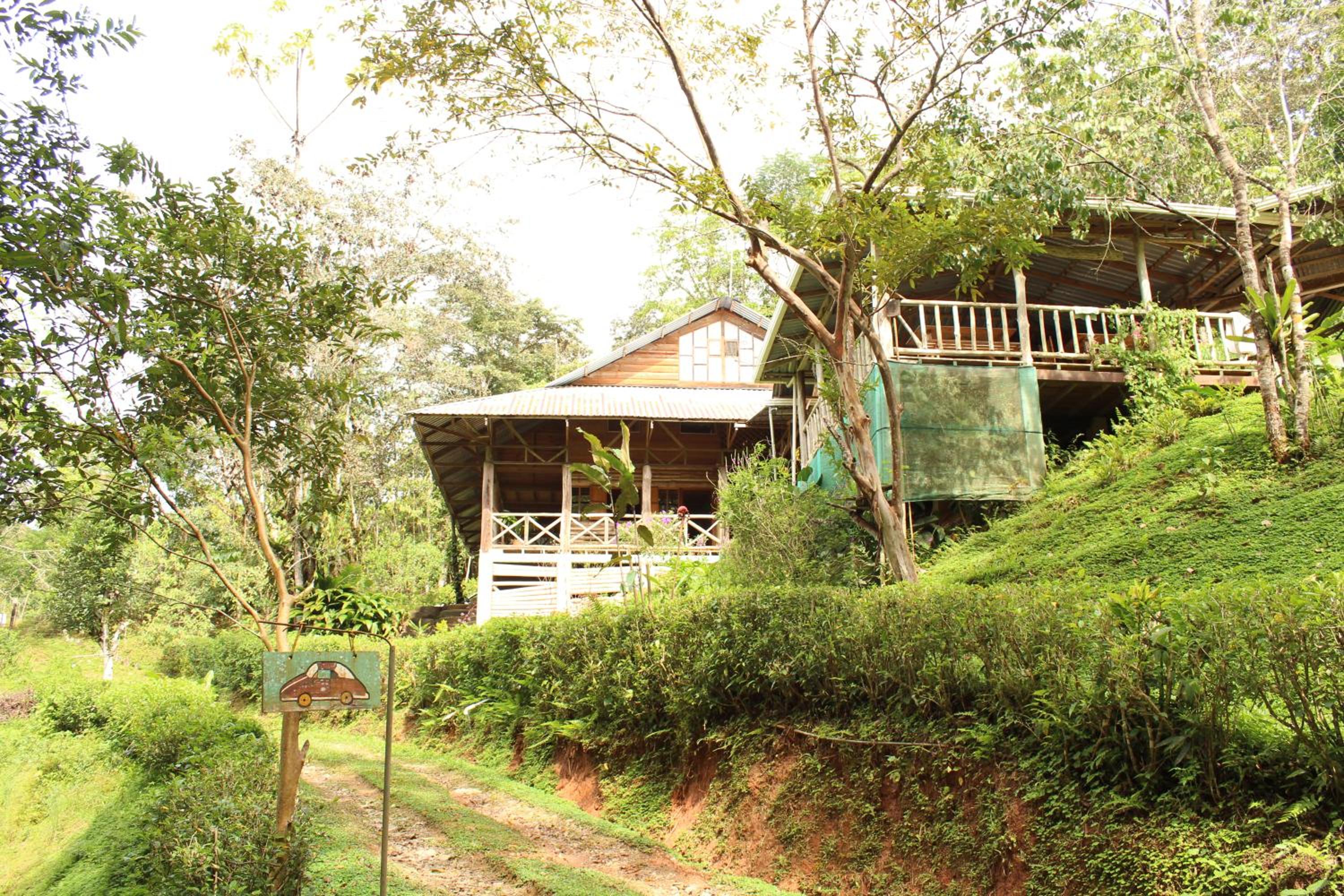 Montaña Verde