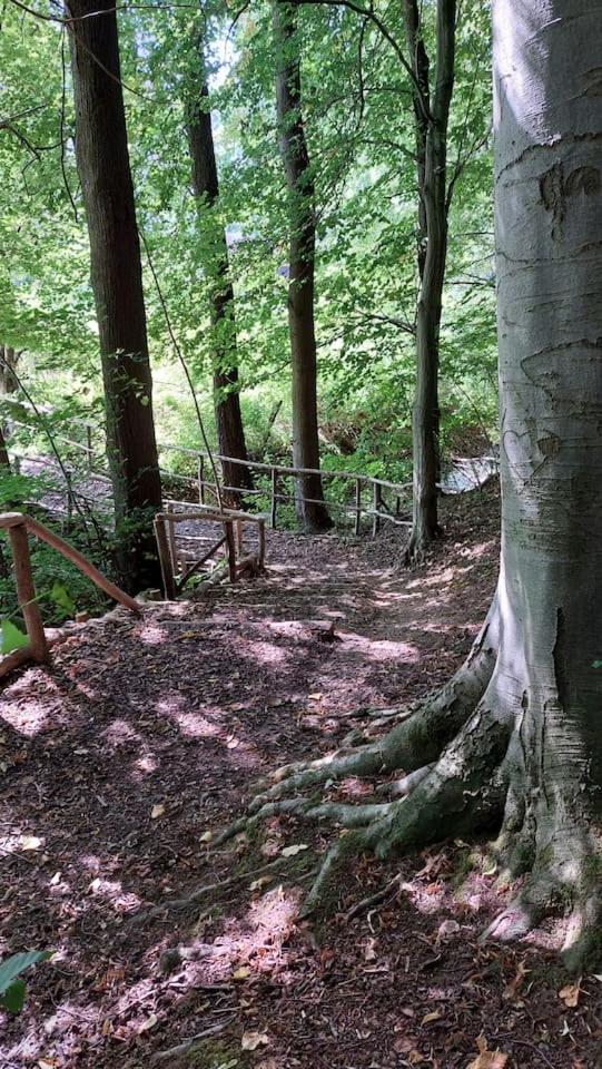 Stilvolle Ferienwohnung im Eichsfeld