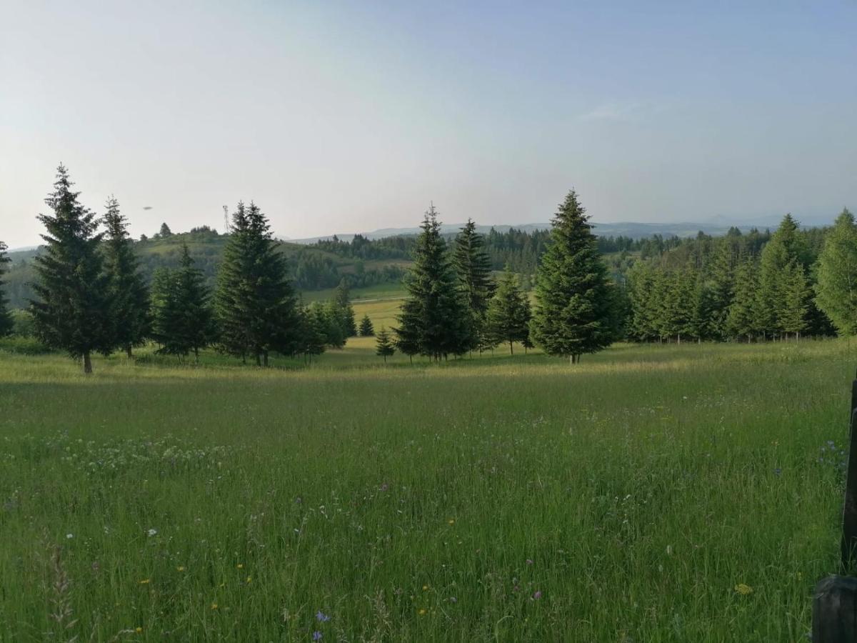 Planinska kuća Jabuka view 4