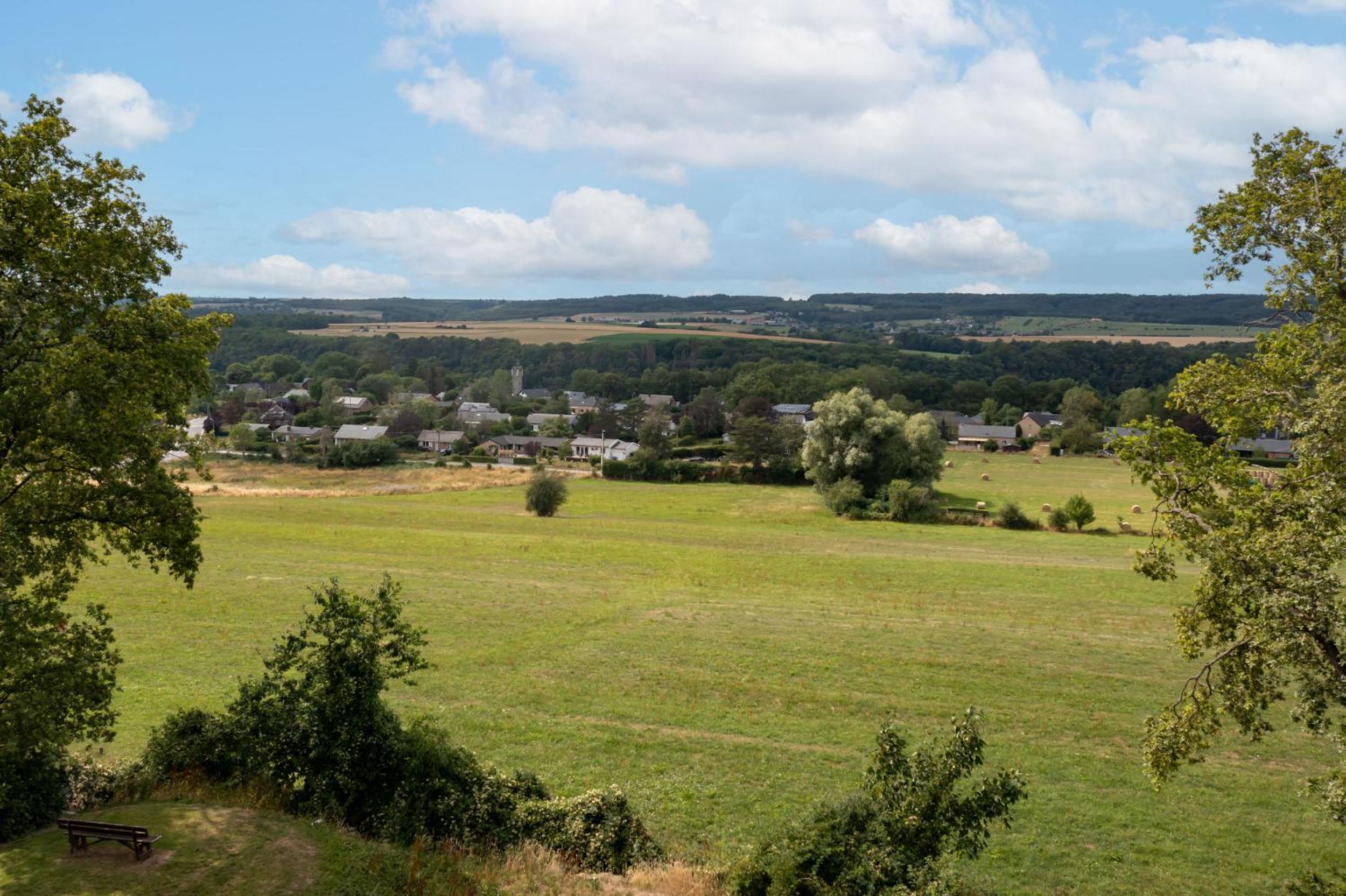 Gite 1 Maison Caerdinael - Gîte 14 personnes sur les hauteurs de Durbuy