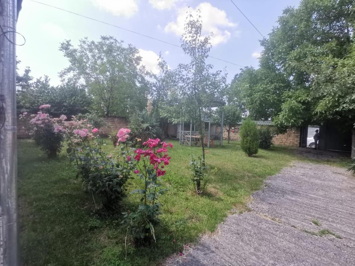 Dağ evi 2 yataq otağı 1 salon