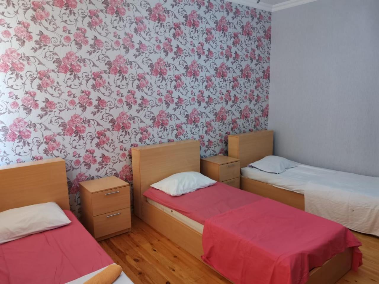 Dağ evi 2 yataq otağı 1 salon