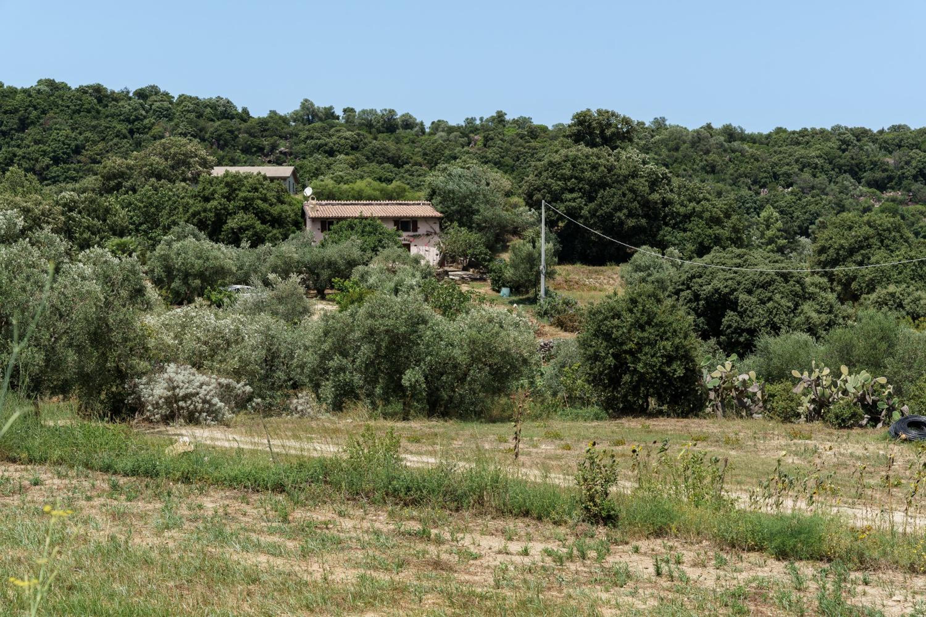 Bosco Littu view 4
