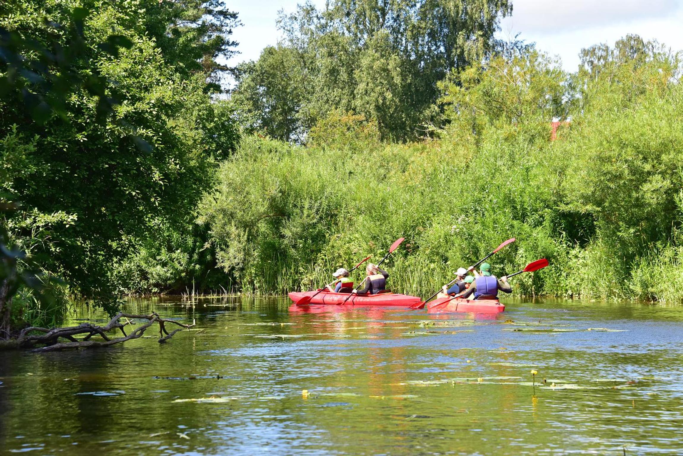 Akmeninė Sala view 2