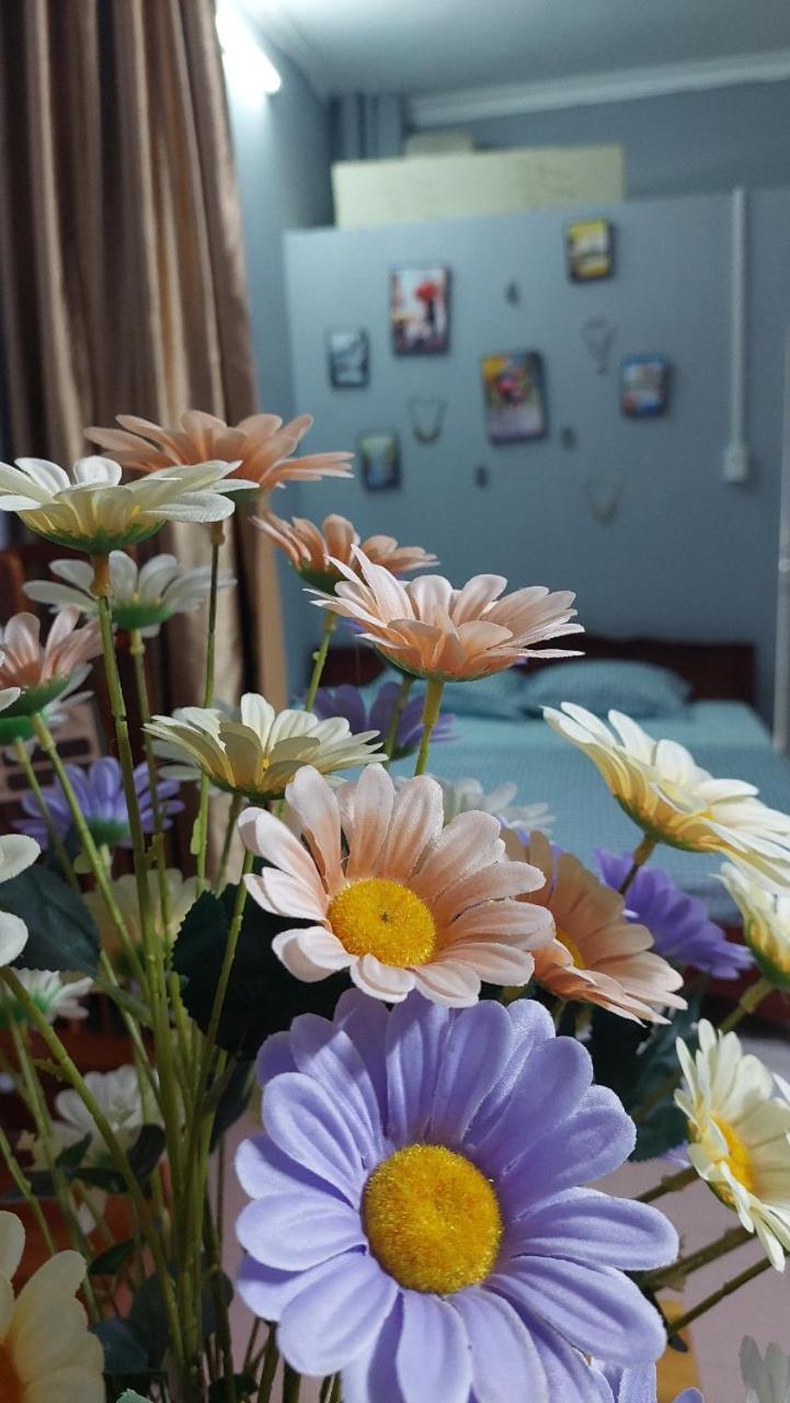 alley homestay_Liễu Giai