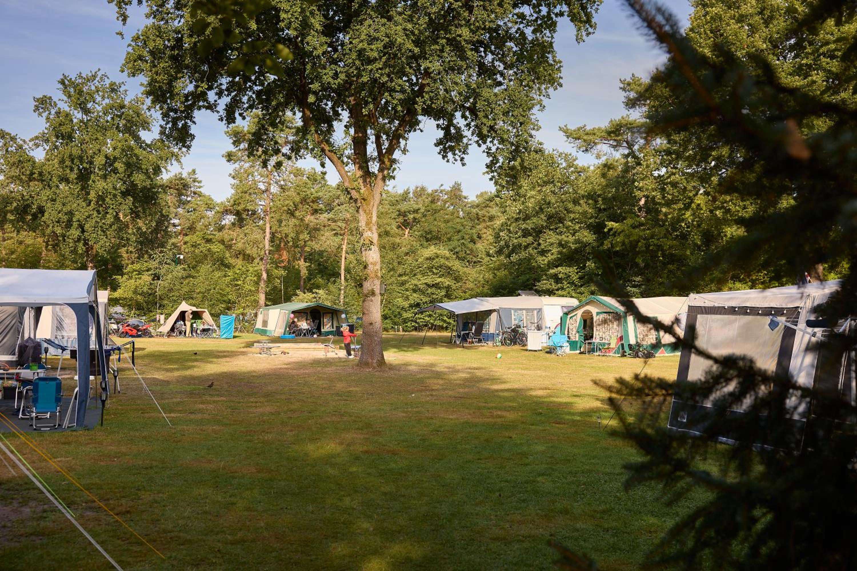 RCN Vakantiepark de Noordster