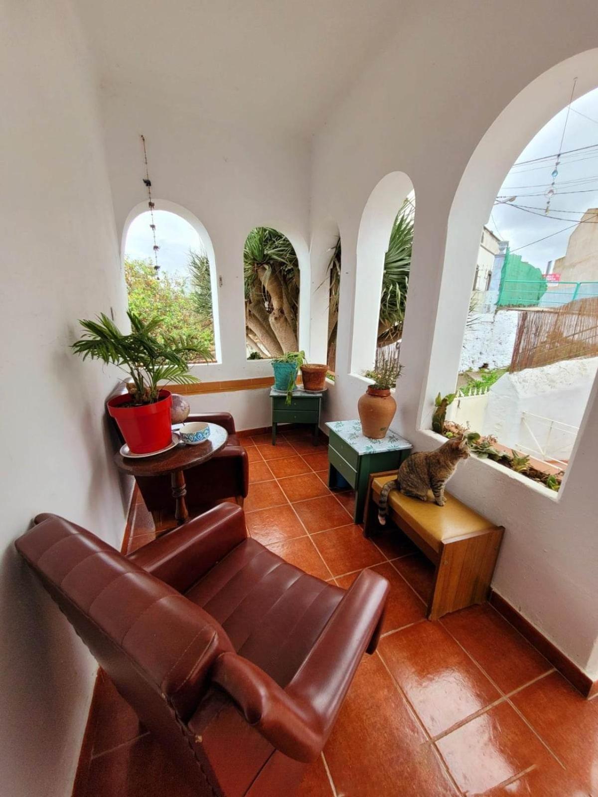 Acoran Family Guests House Firgas with Included Morning Yoga Practice ,there are pets in the house