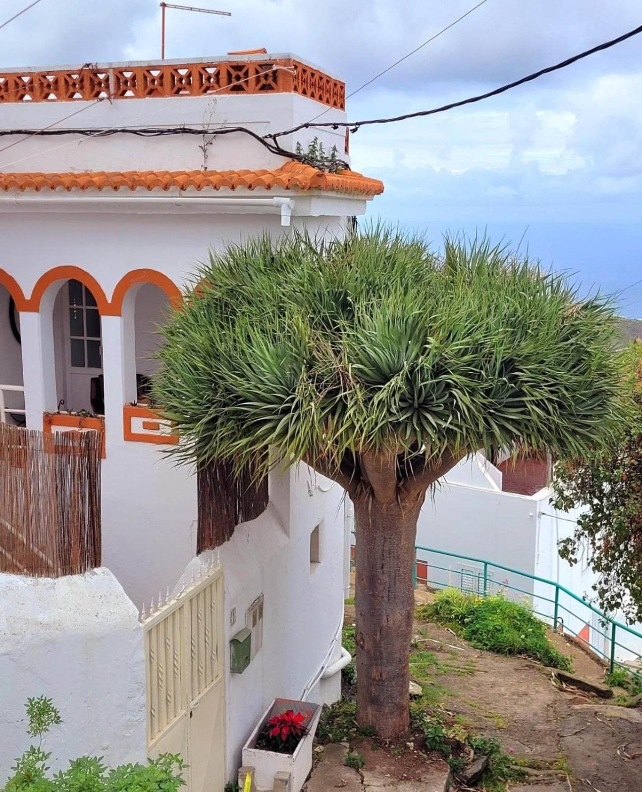 Acoran Family Guests House Firgas with Included Morning Yoga Practice ,there are pets in the house