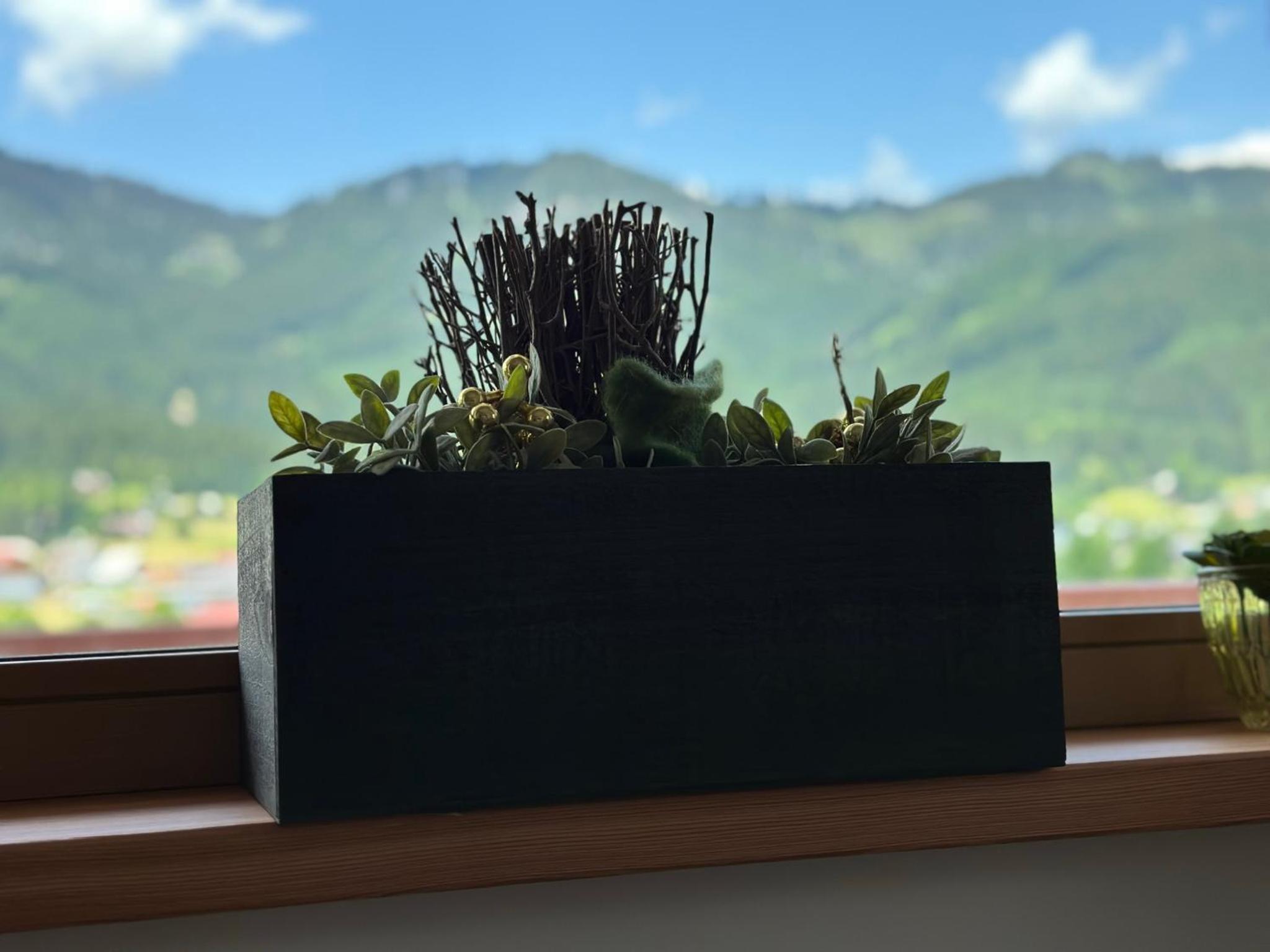 Ferienwohnung Kogelblick Gosau view 5