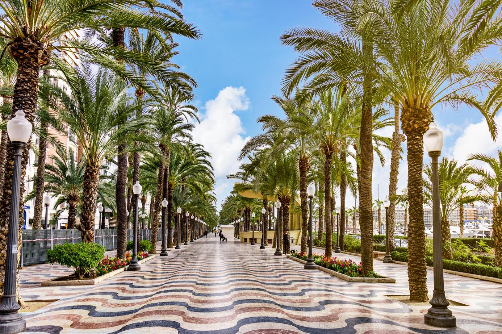 HB Apartments - Mercado Central - Rambla Alicante - La Suite de la Playa view 3