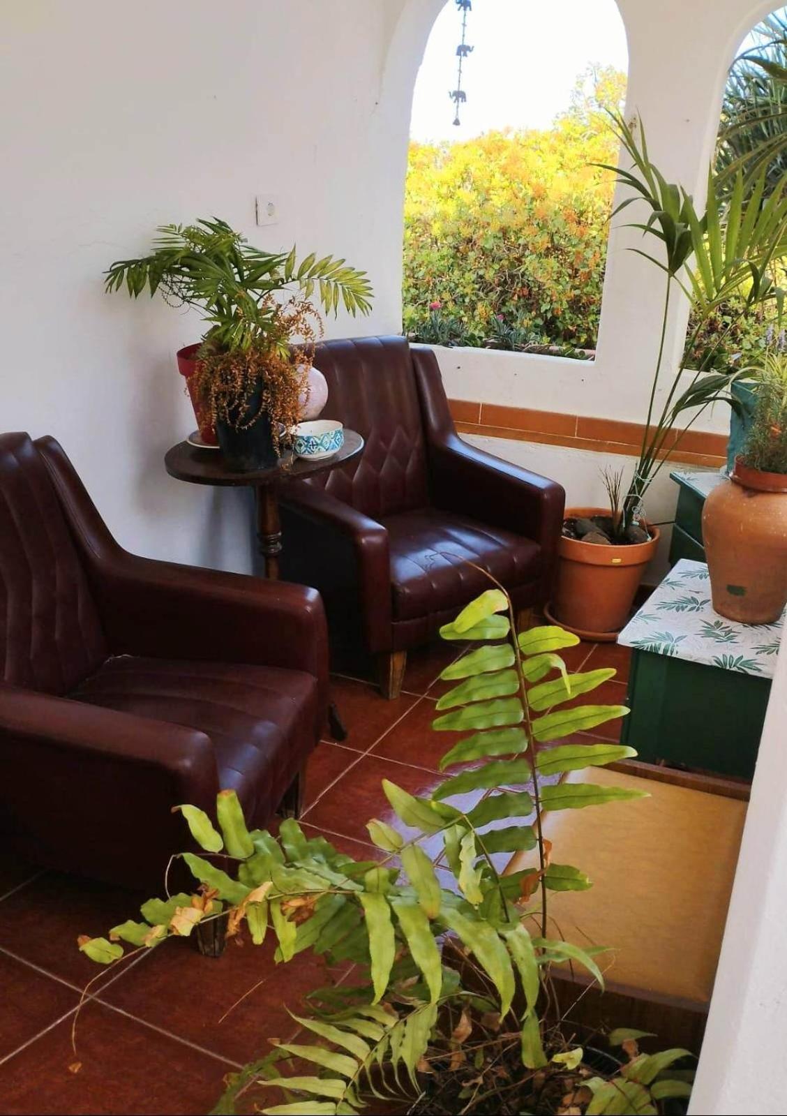 Acoran Family Guests House Firgas with Included Morning Yoga Practice ,there are pets in the house