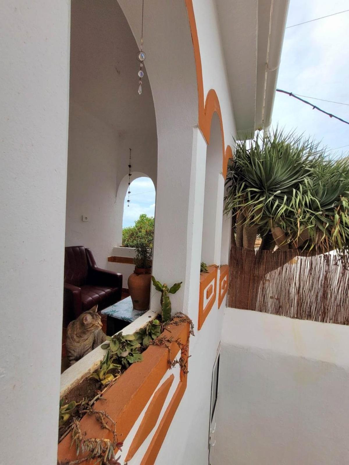 Acoran Family Guests House Firgas with Included Morning Yoga Practice ,there are pets in the house