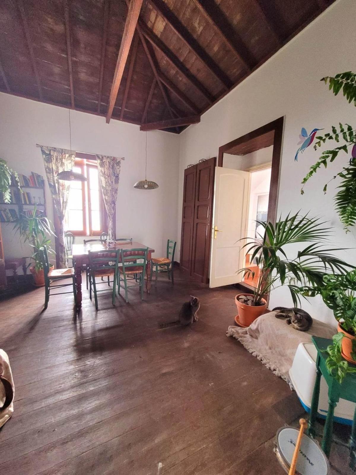 Acoran Family Guests House Firgas with Included Morning Yoga Practice ,there are pets in the house