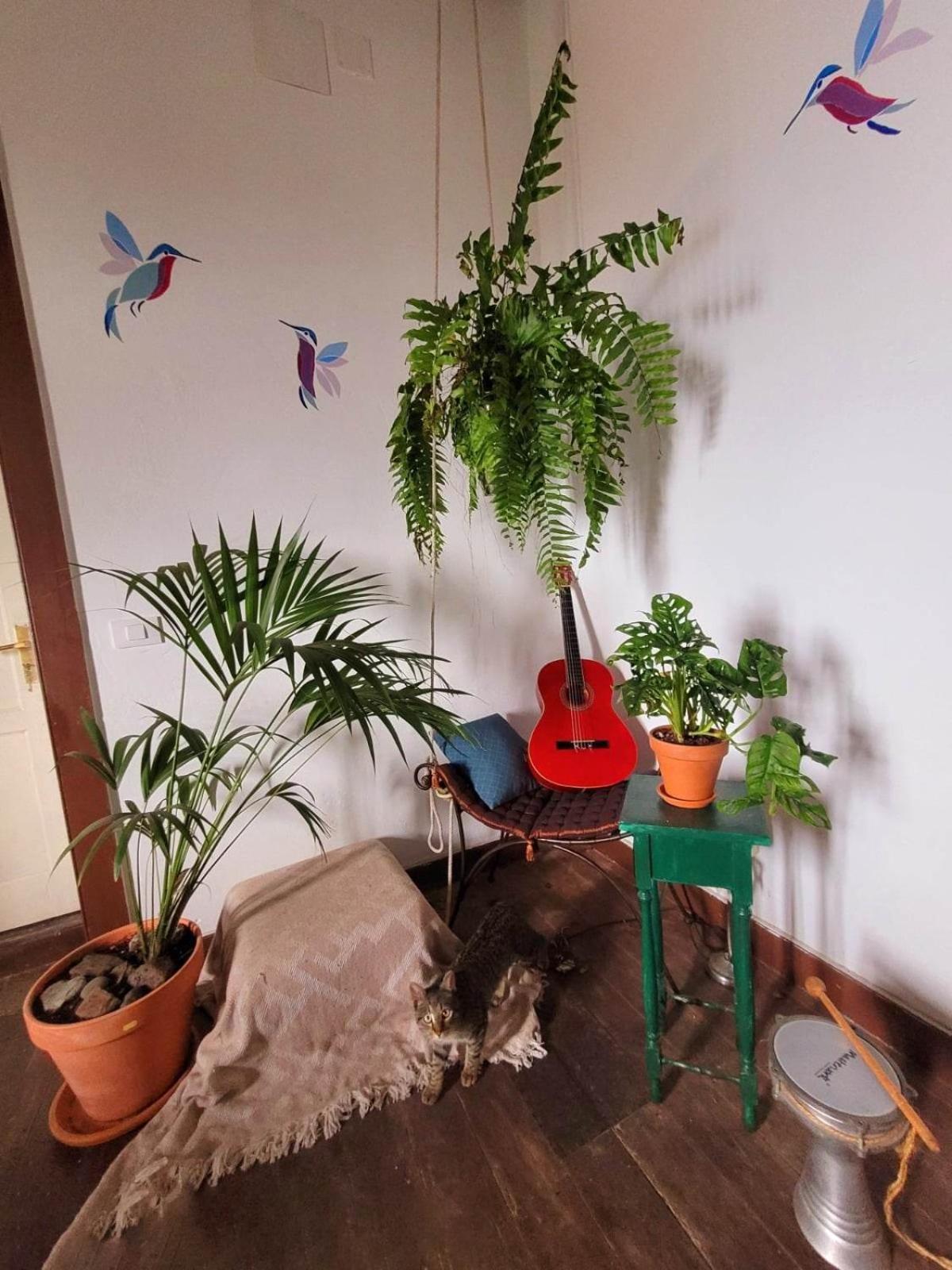 Acoran Family Guests House Firgas with Included Morning Yoga Practice ,there are pets in the house