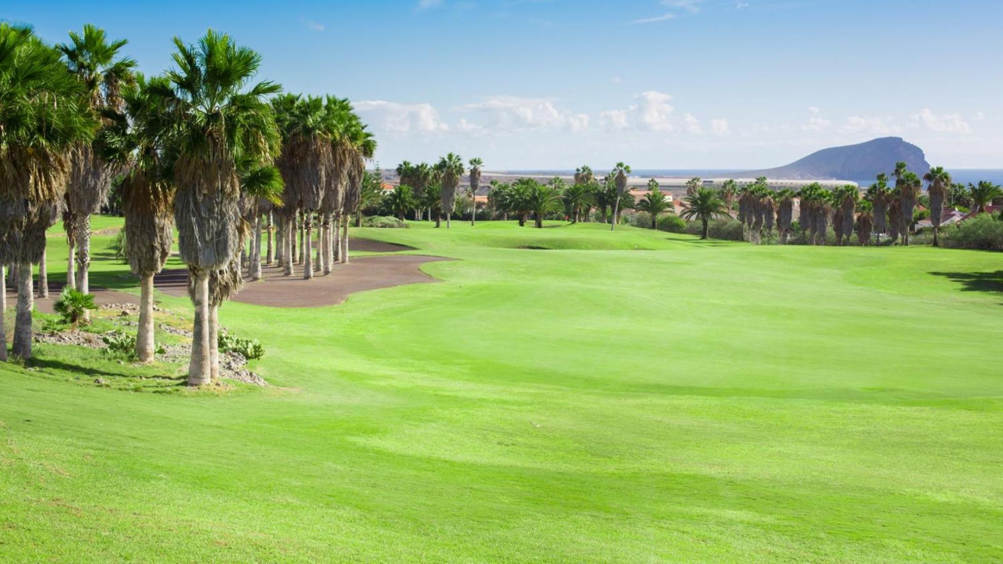 Albatros 433B Holiday Home in Tenerife South view 5