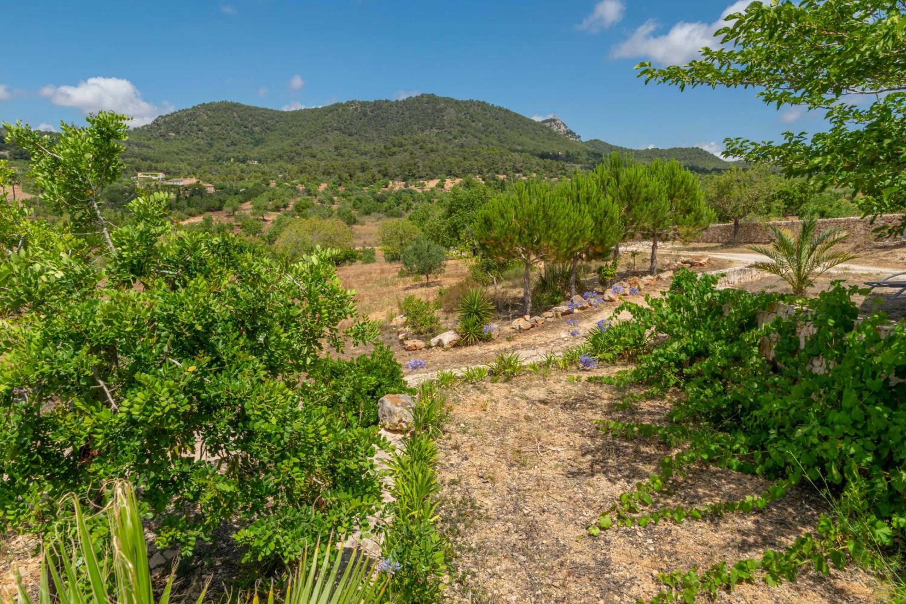 S'Albarcoquer