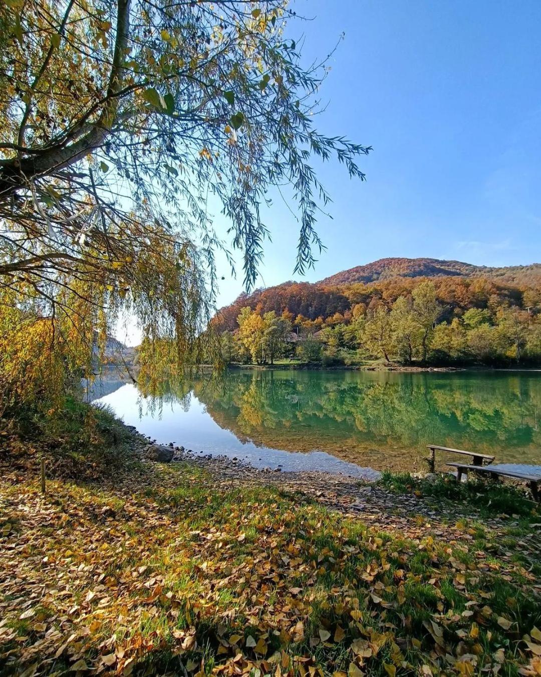 Apartman CVET Bajina Bašta