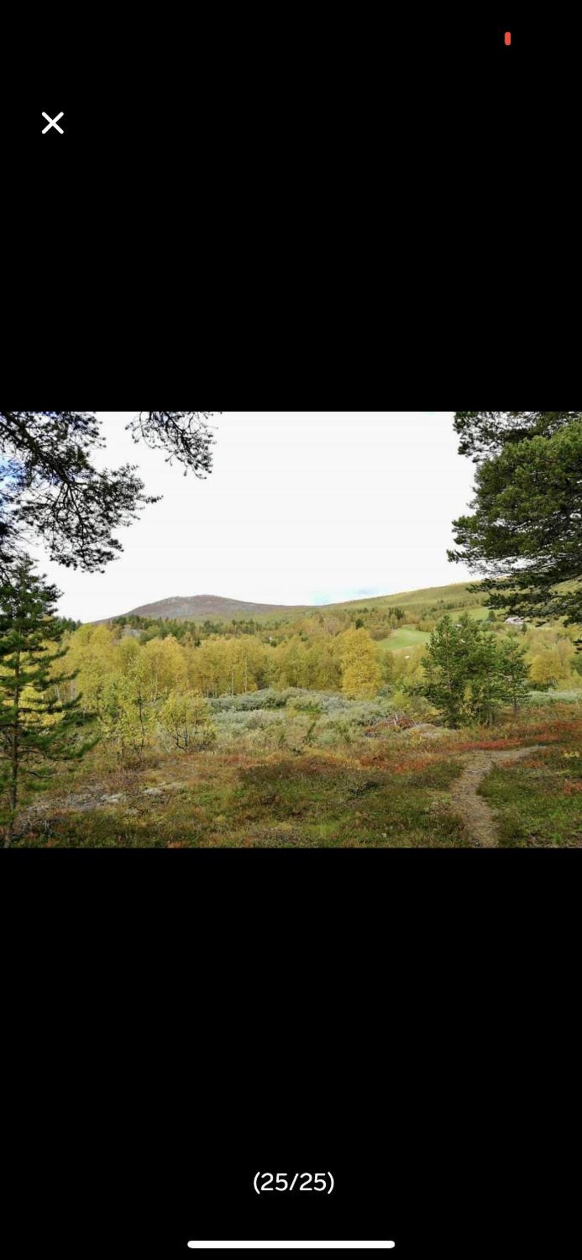 Bjorli Apartment with everything, 150m from ski lift view 4