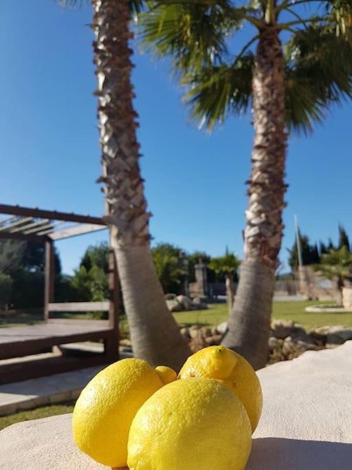 Finca El Patio