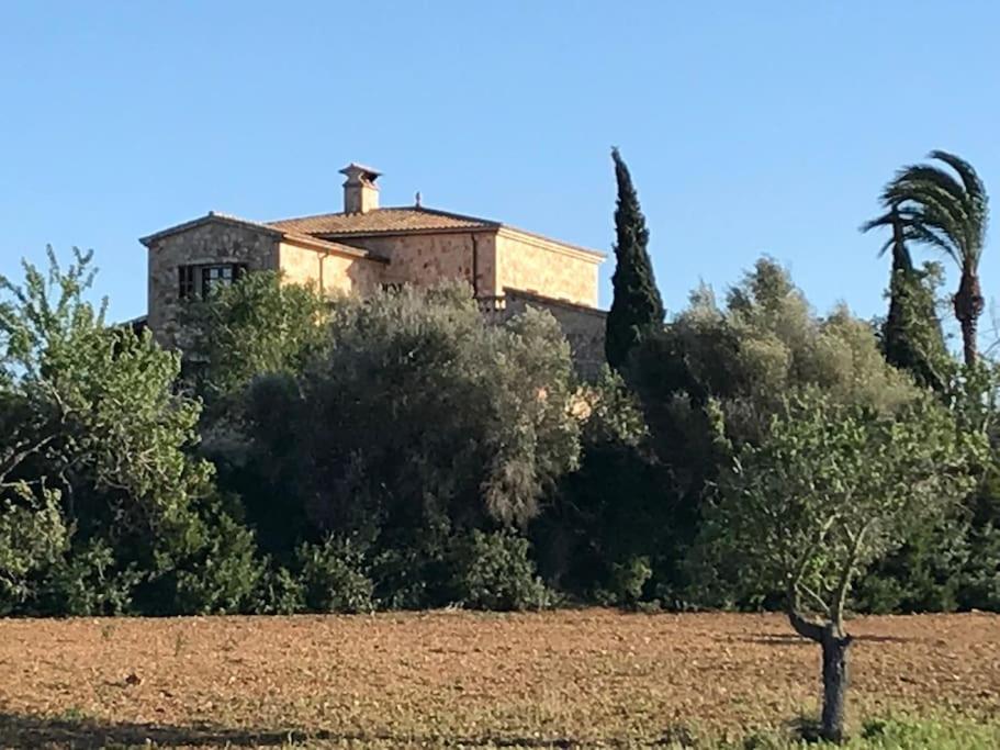 Finca El Patio