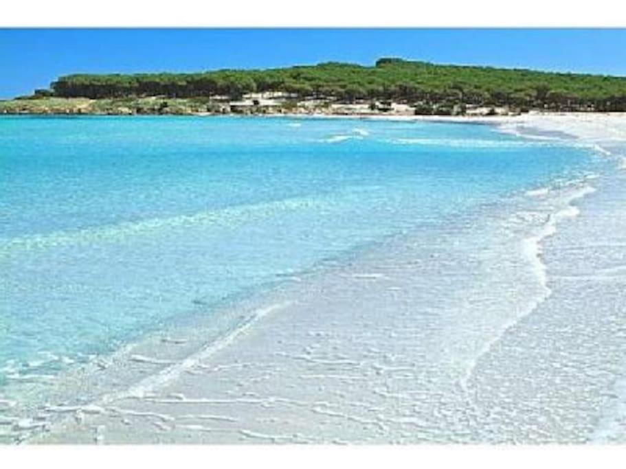 Accogliente casa vacanza a 500 m dal mare view 4