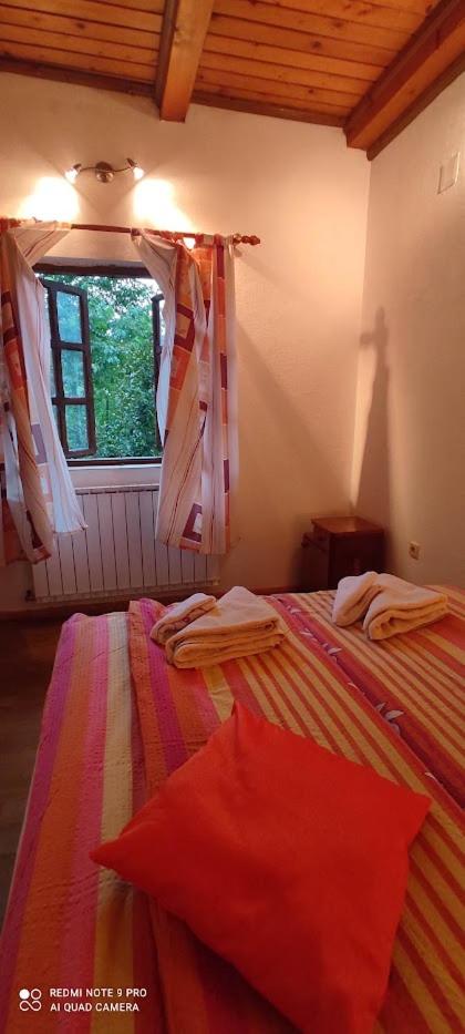 Apartman Šipak