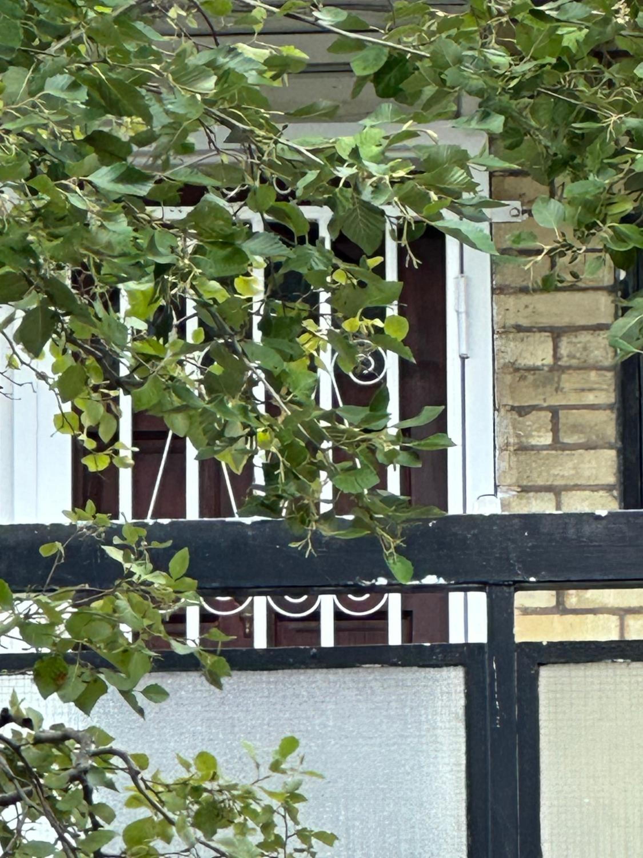 Whites Inn