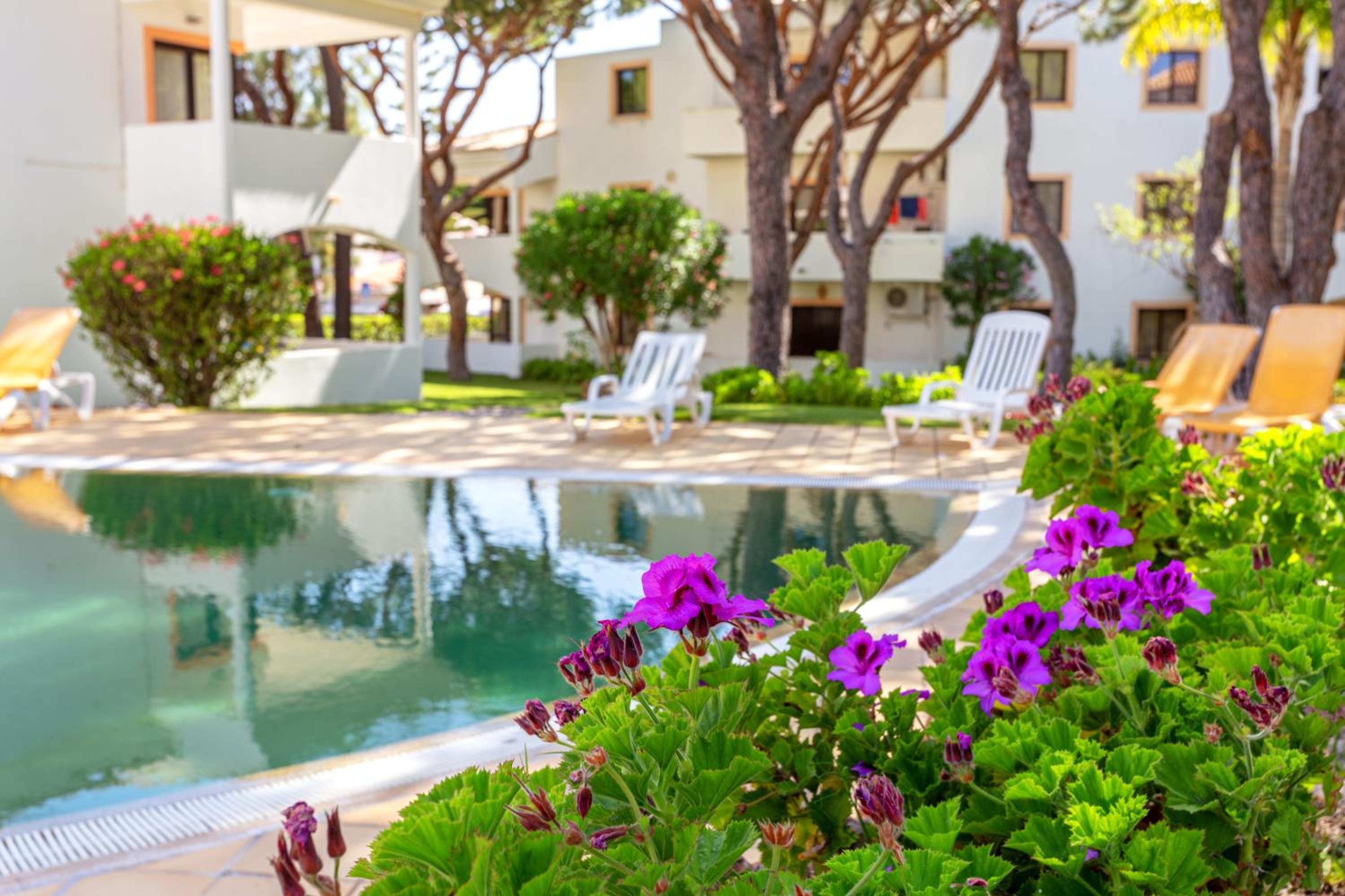 Host Wise - Fresh Sunny Flat with Pool & Terrace view 5