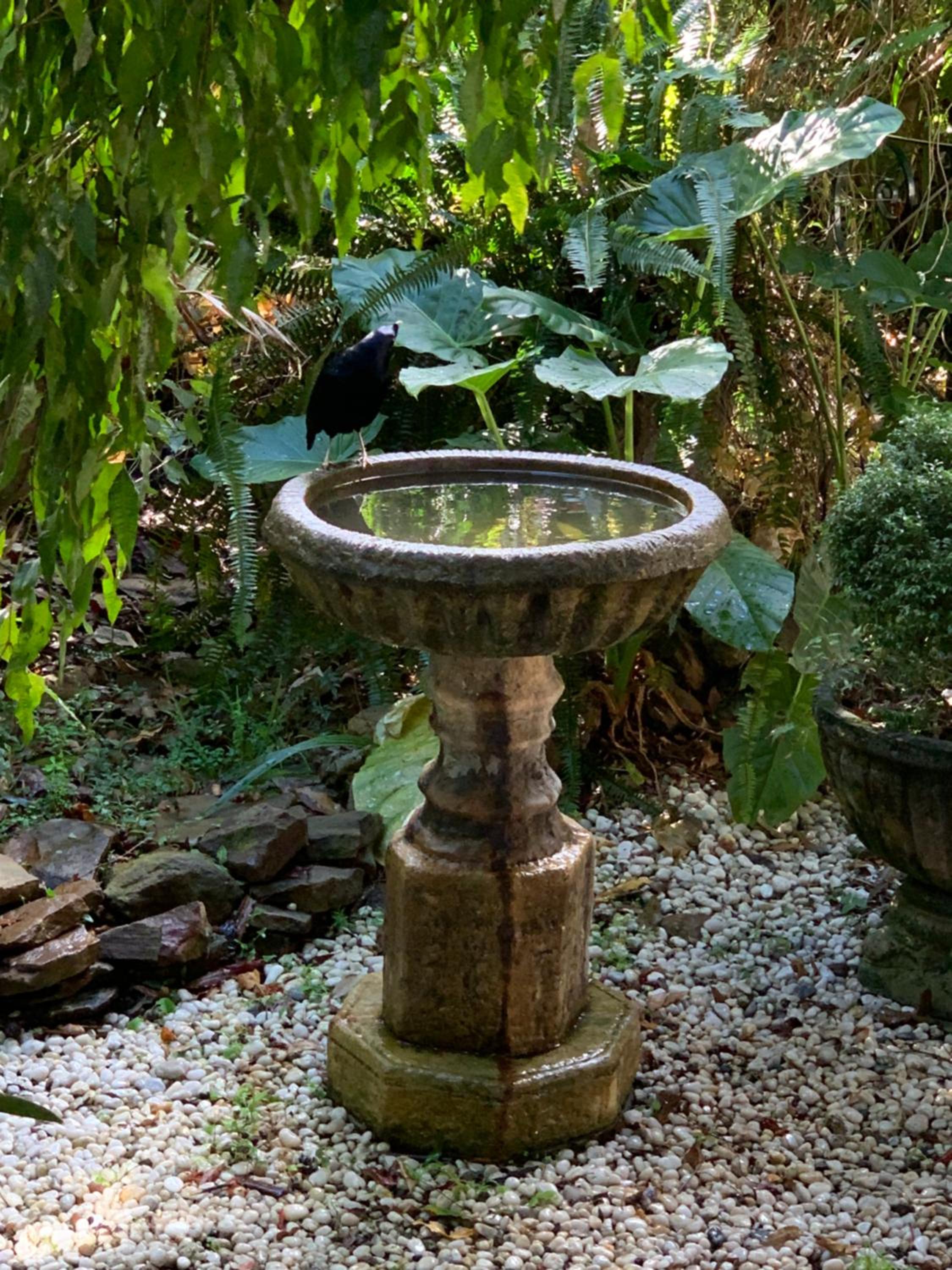 Garden studio