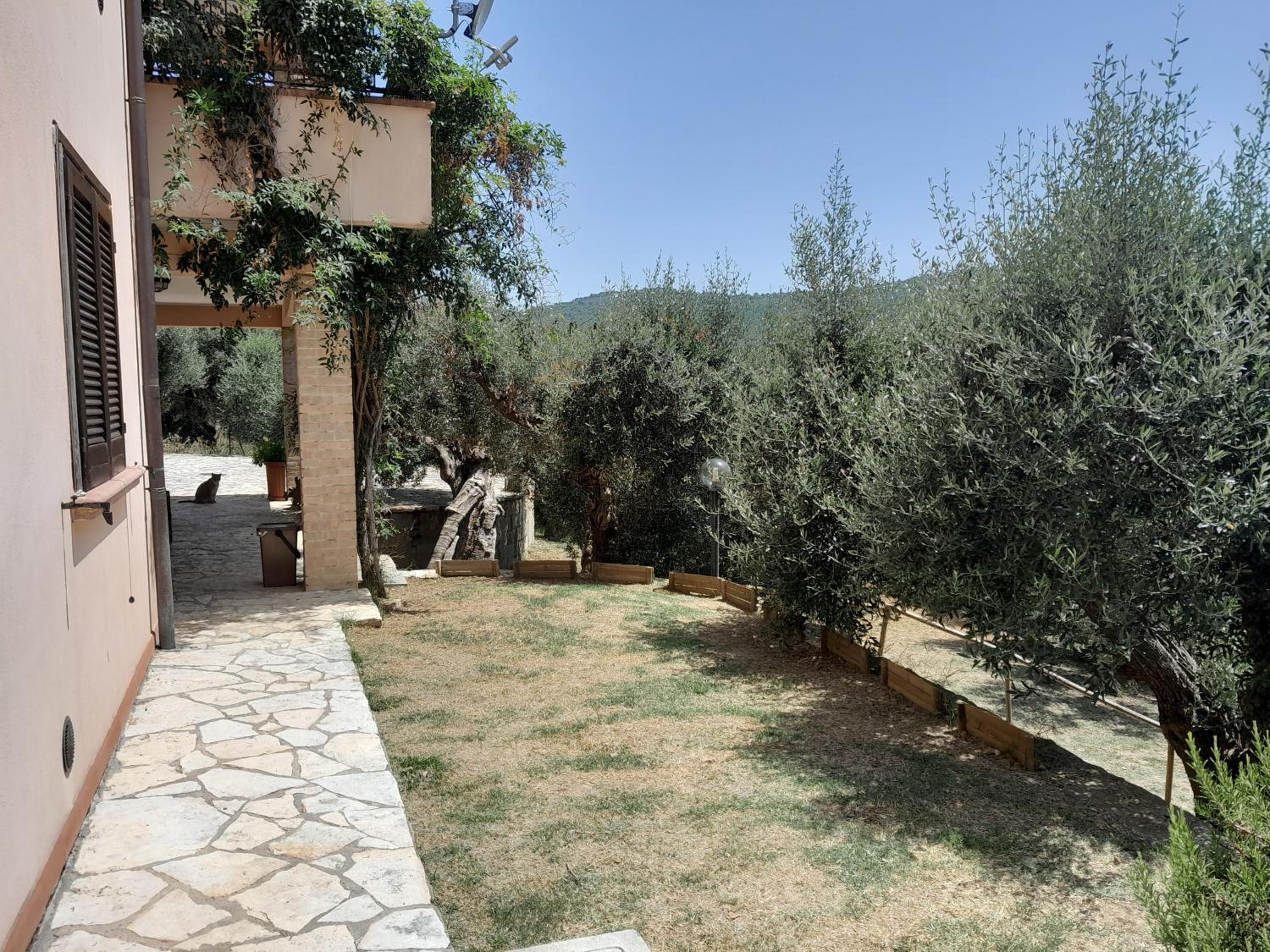 I Gufetti view 3