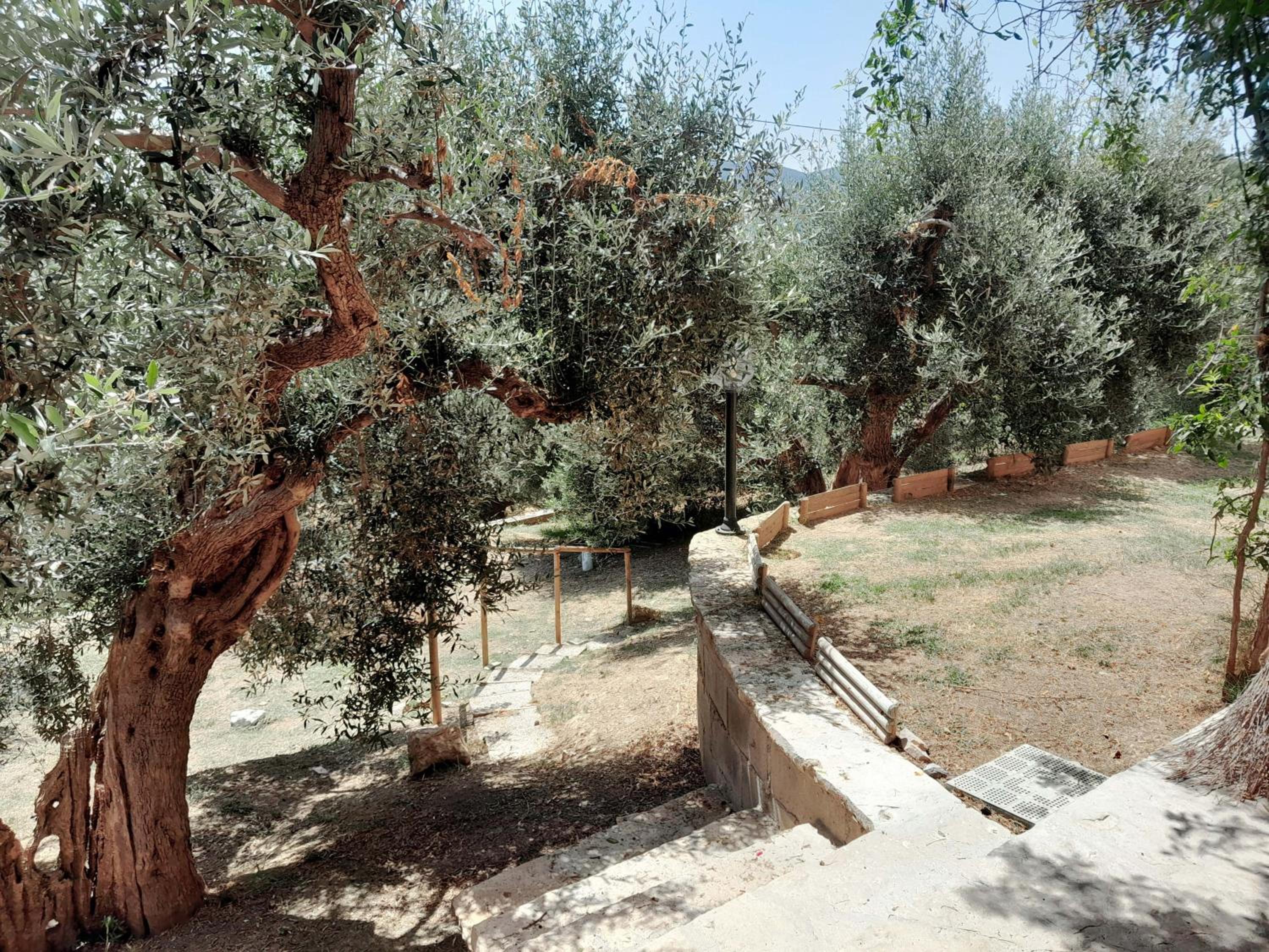 I Gufetti view 2