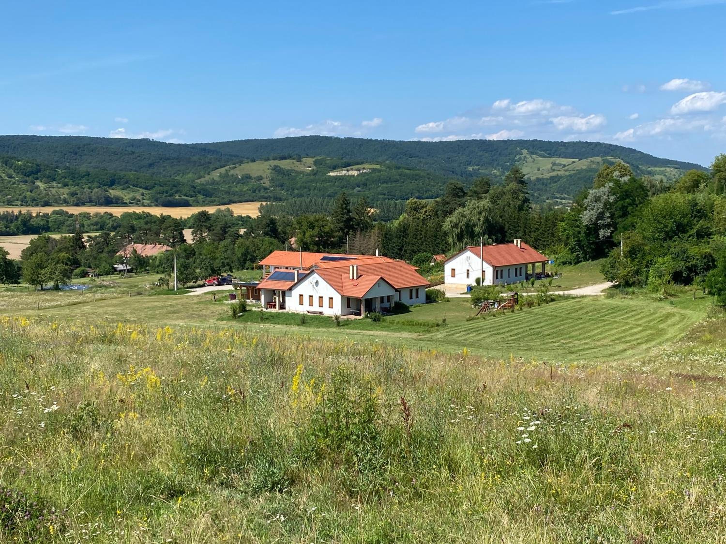 Bánvölgye Vendégház és Apartmanok view 3
