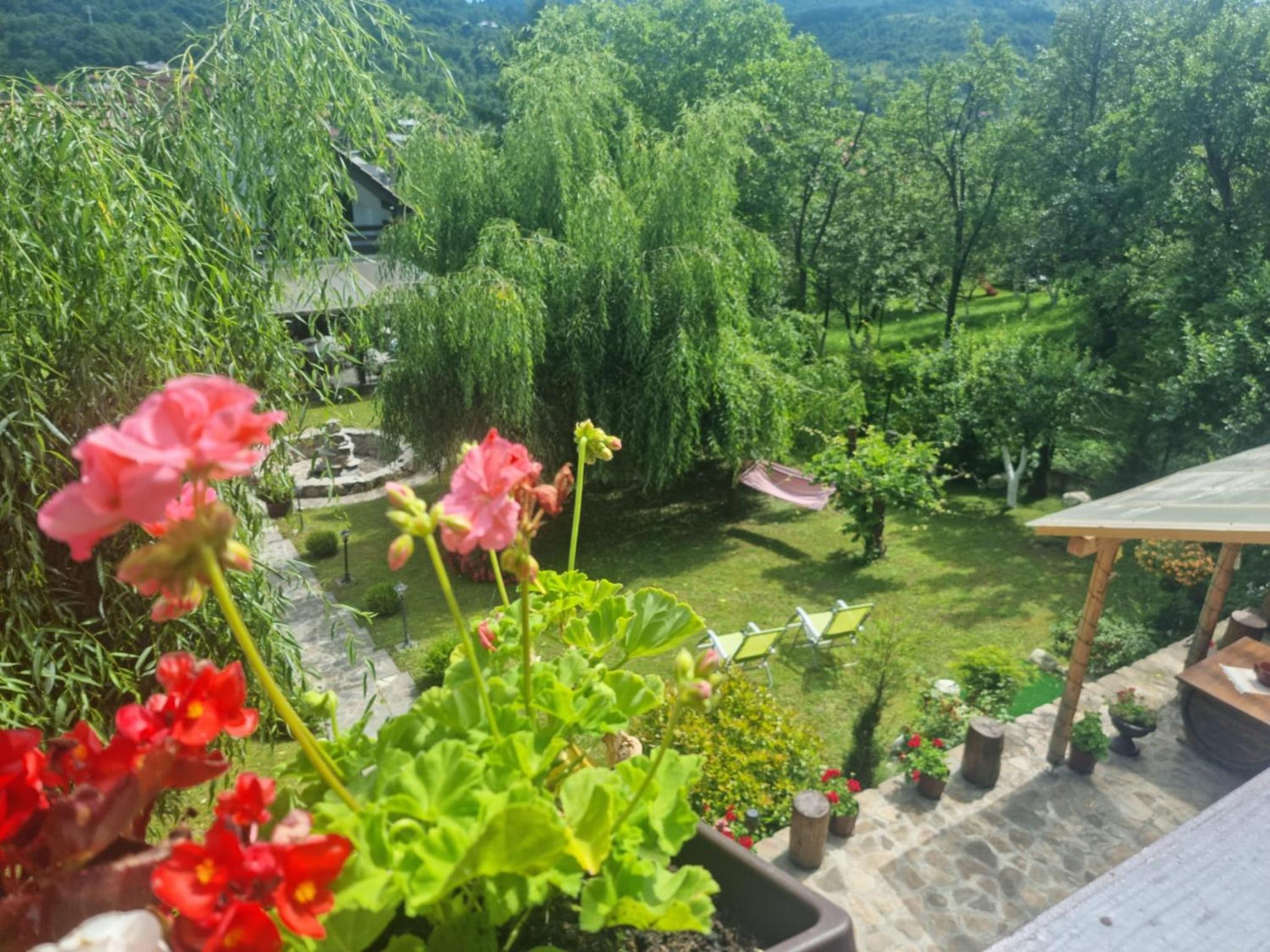Vila Rustic INN Bucegi view 5