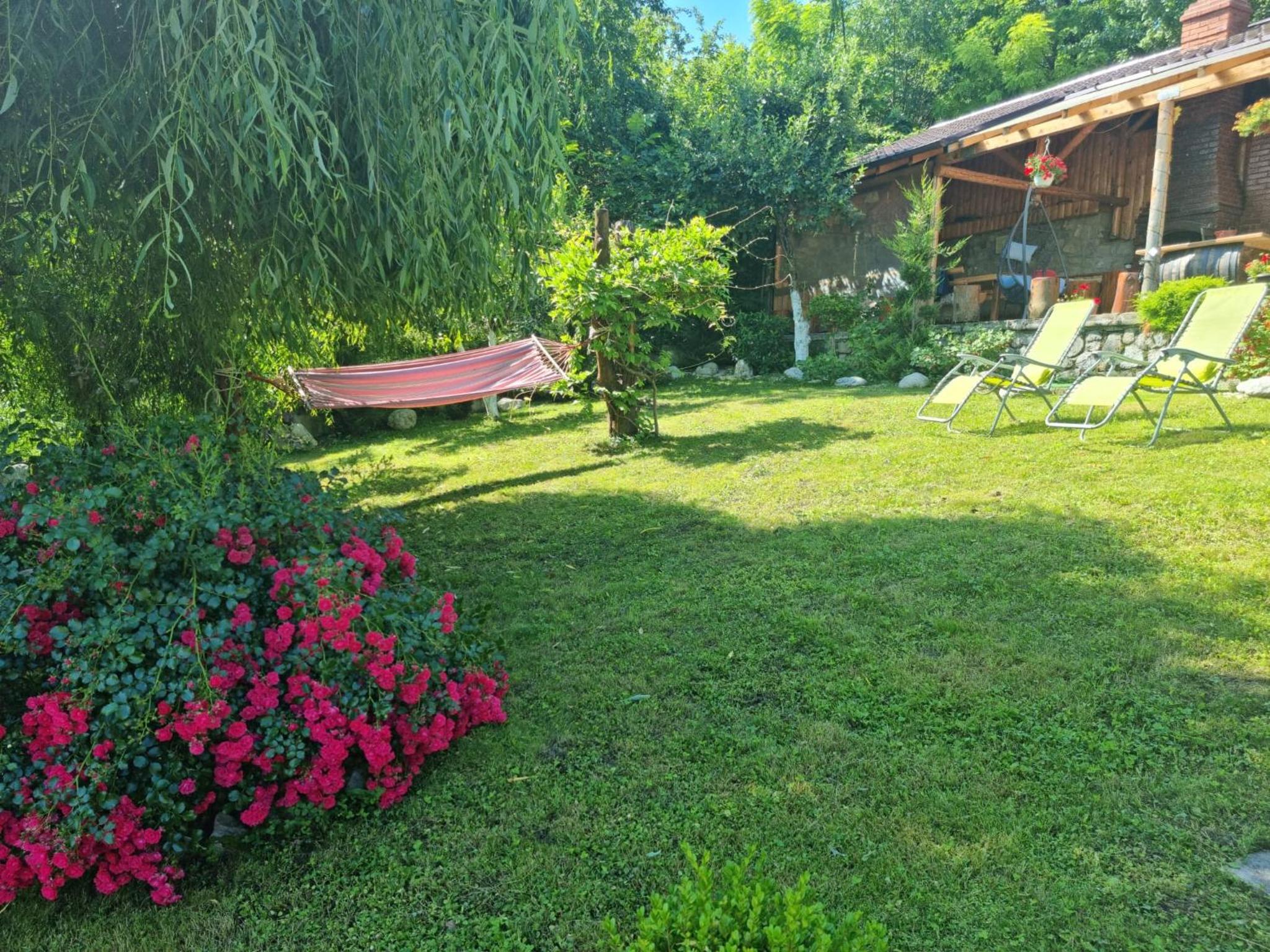 Photo 8