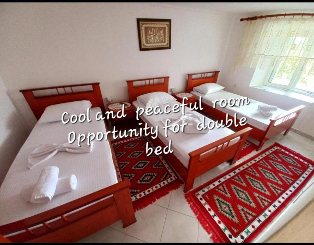 Sokolli Guest House