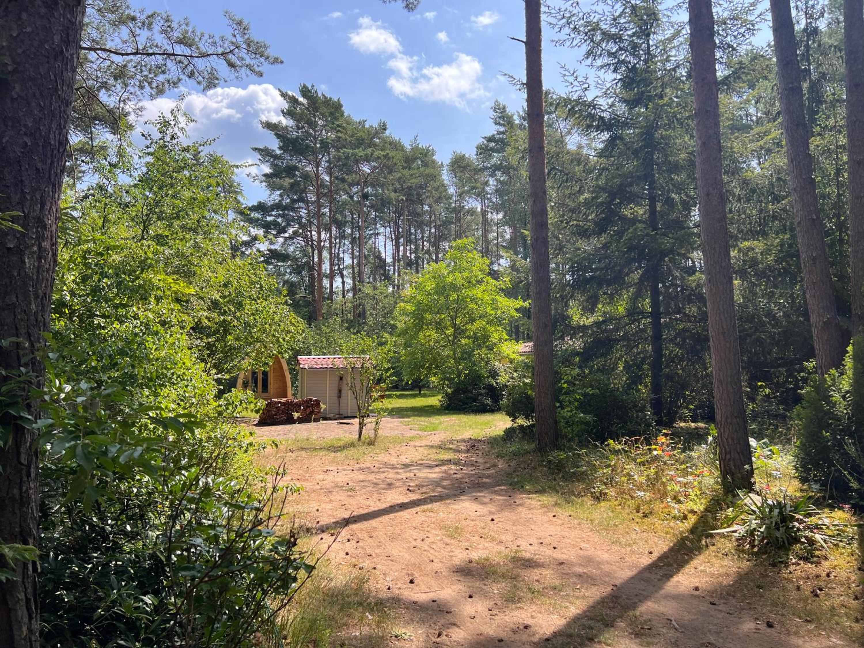 Ferienhaus im Wald