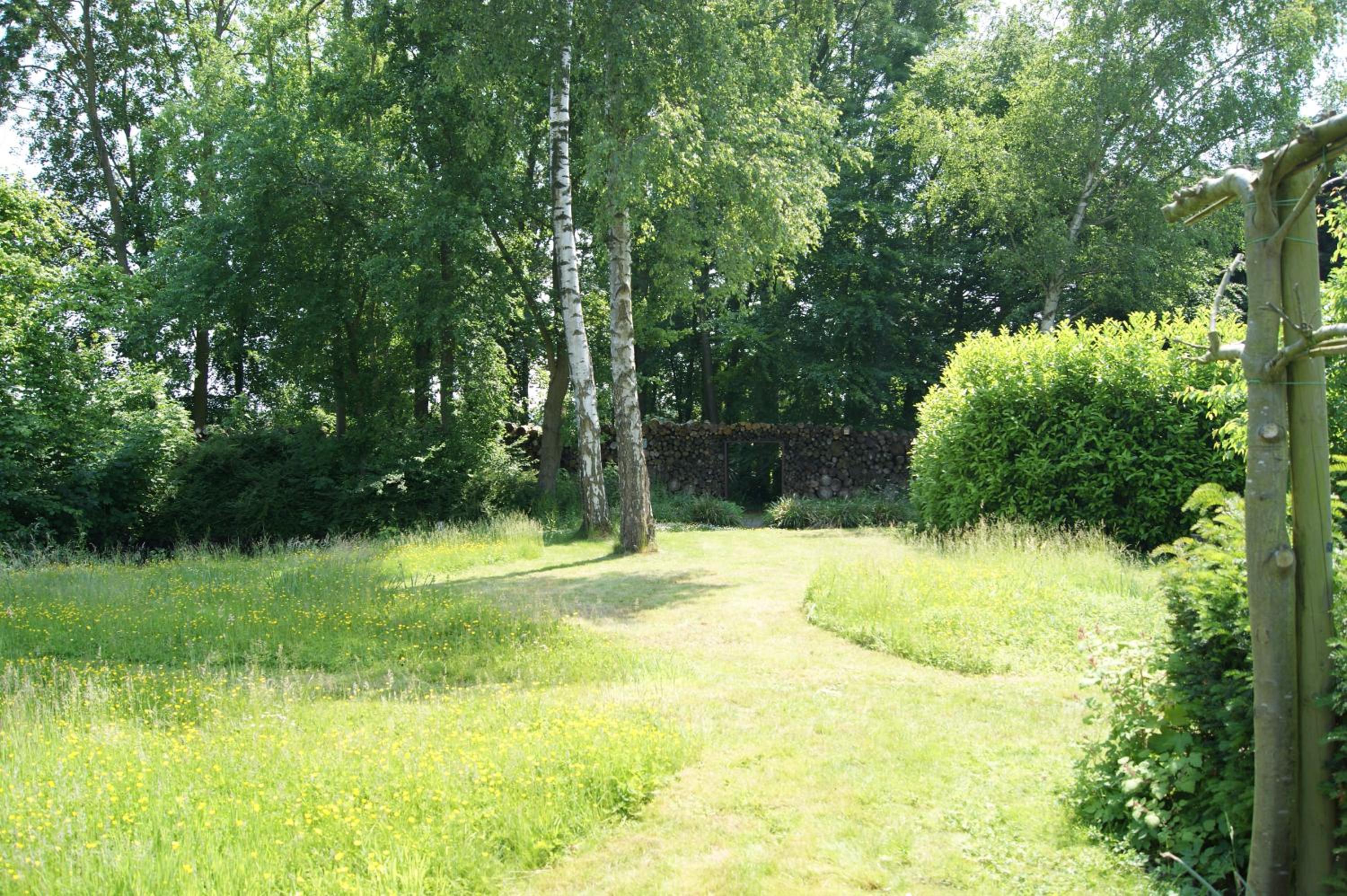 Photo 35