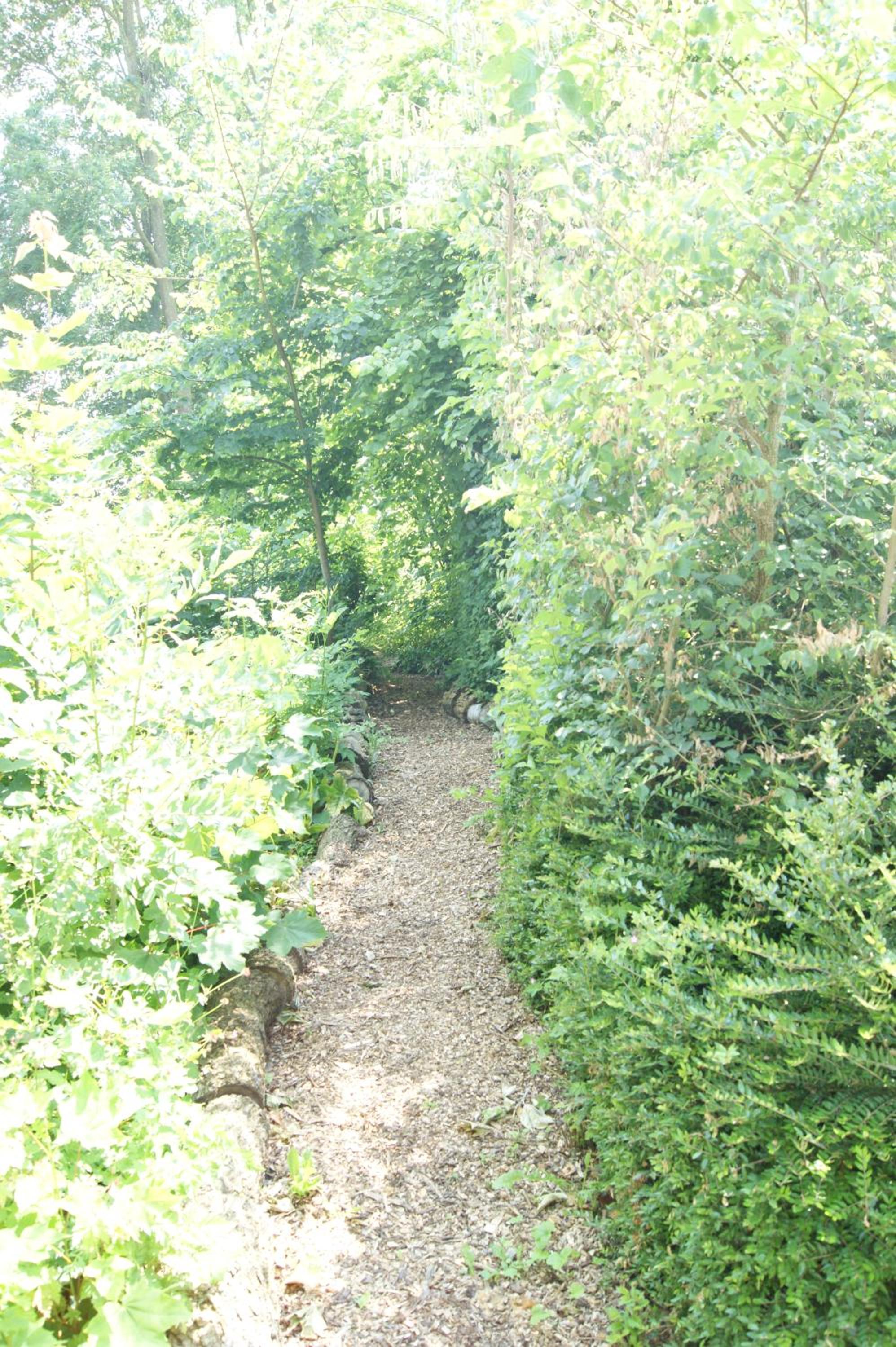 Photo 37