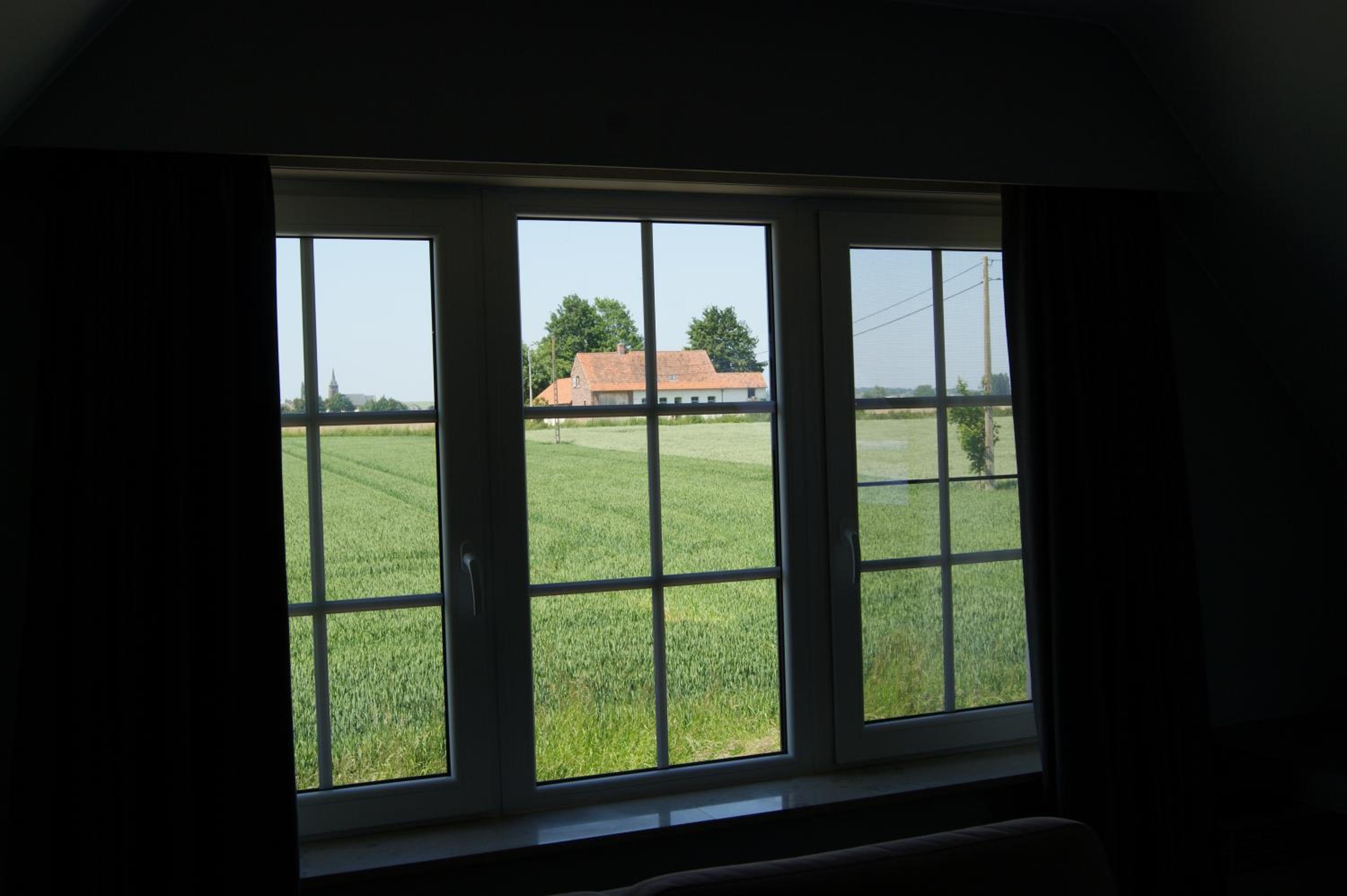 Photo 45