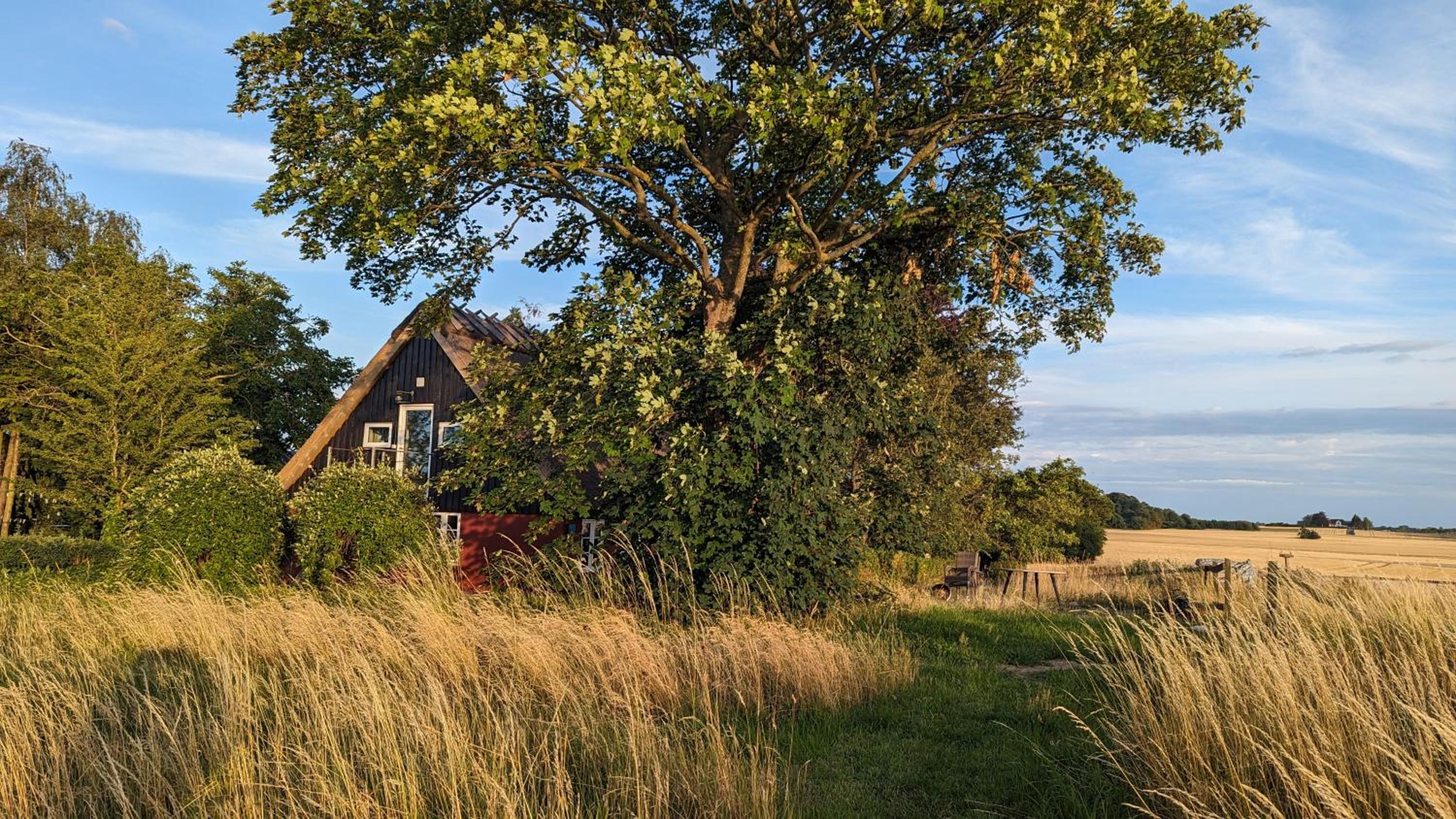 Under Valnødden