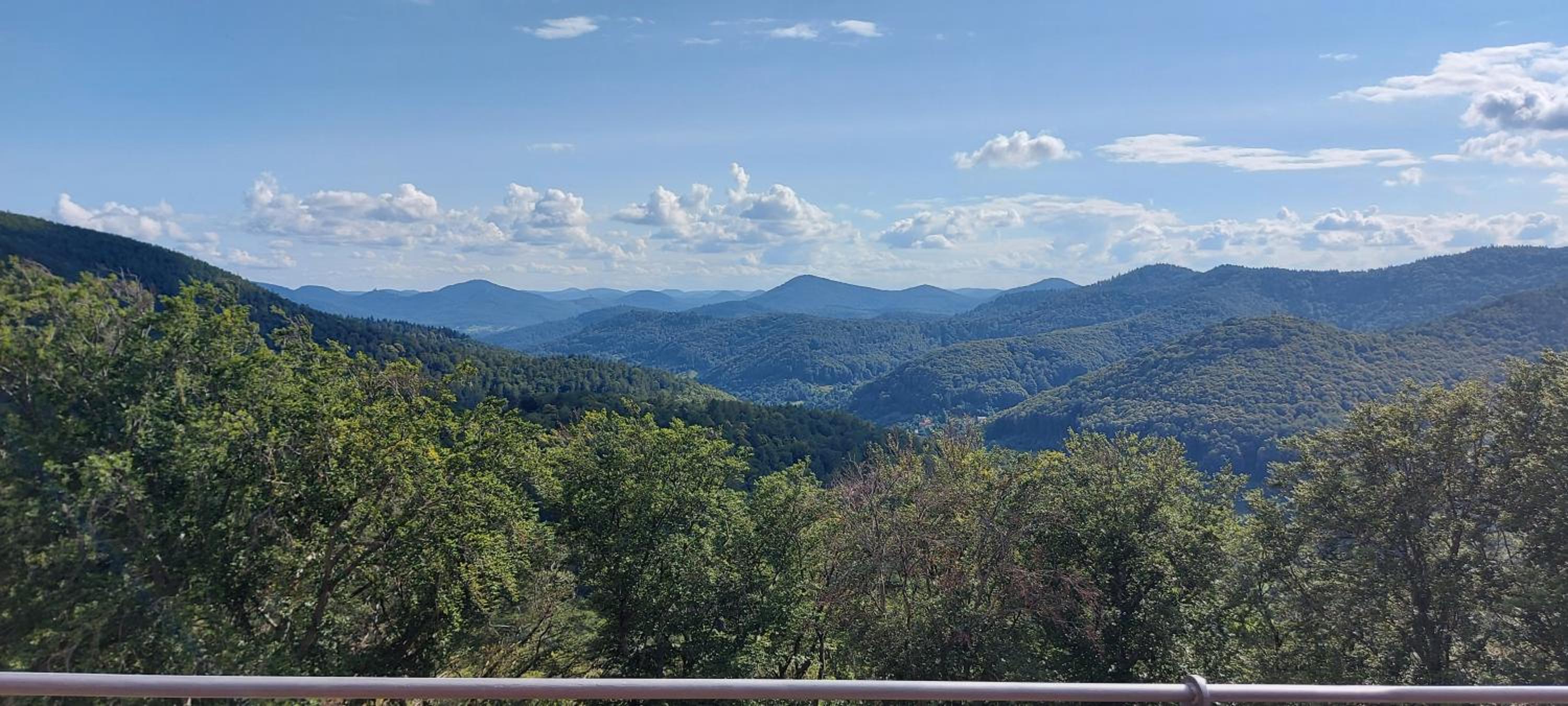 Ferienwohnung Waldliebe Hinterweidenthal