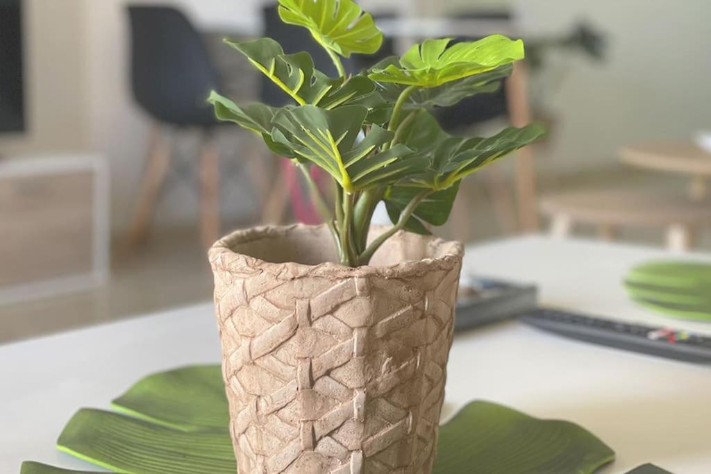 Ocean Deluxe Palm-Mar